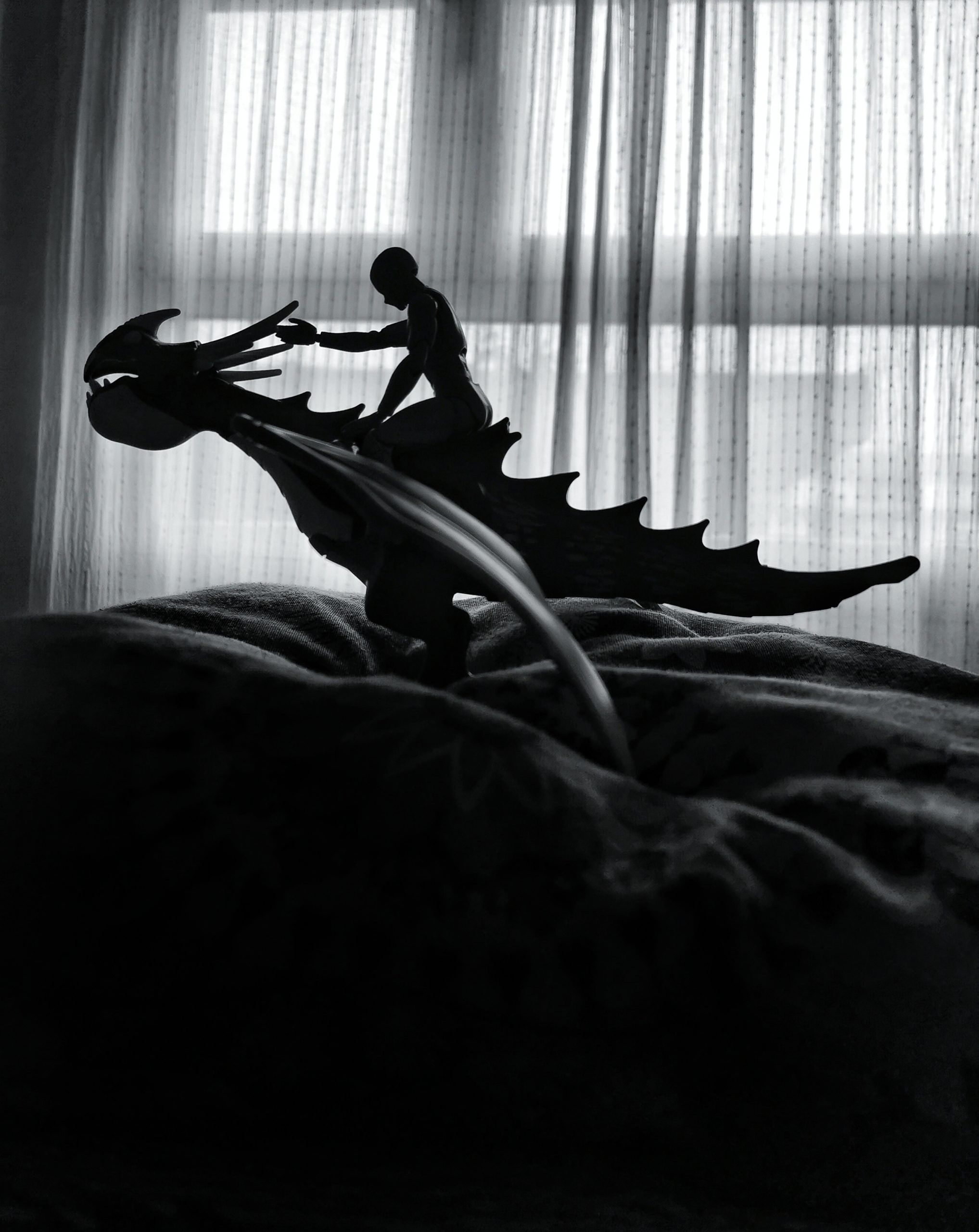 Como entrenar a tu dragón – Escenas de Pelicula | Fotografía creativa móvil en Barakaldo | Ibarakaldo