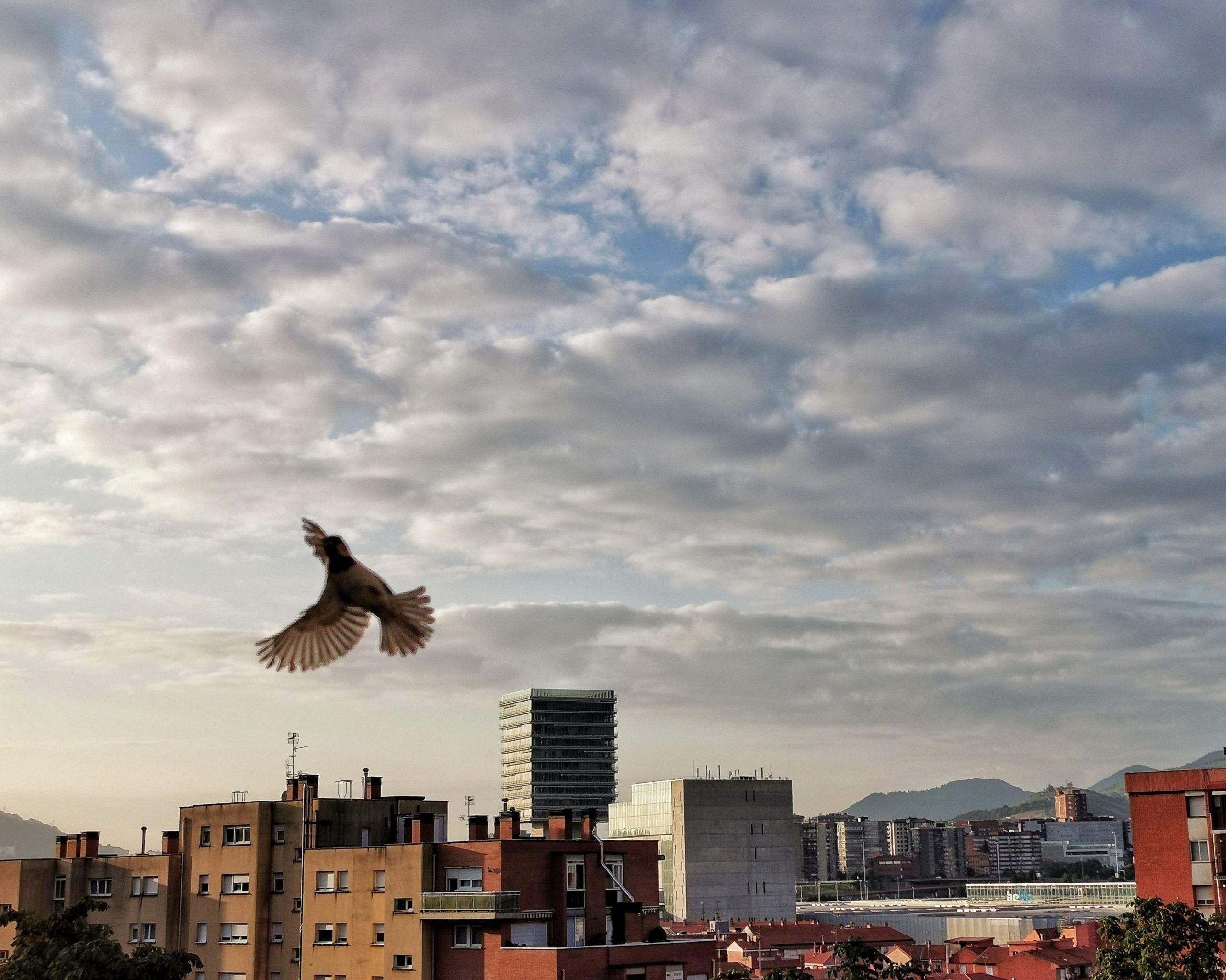 Flying Free – Fotografía creativa móvil en Barakaldo | Ibarakaldo