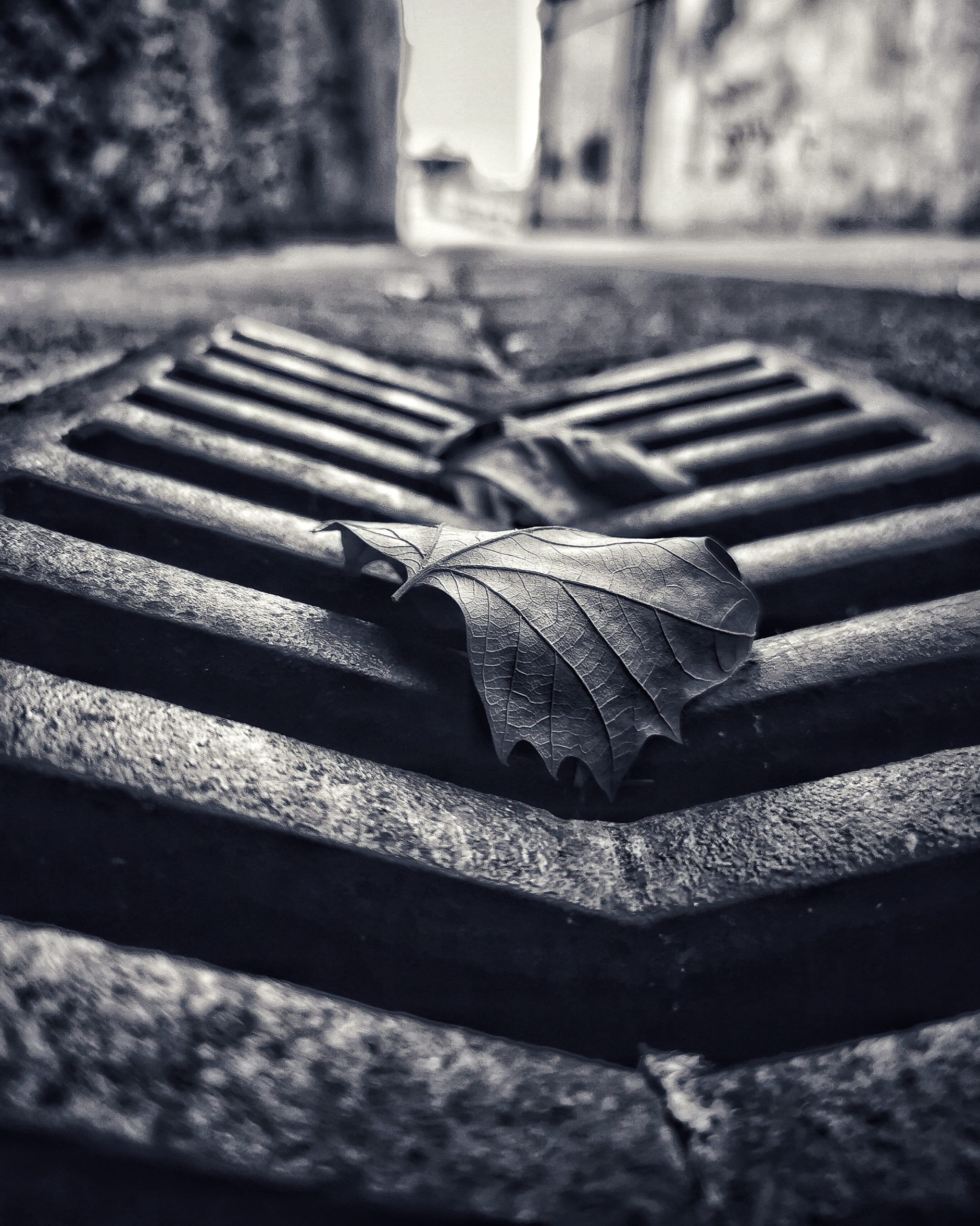 Creatividad 10 – Fotografía creativa móvil en Barakaldo | Ibarakaldo