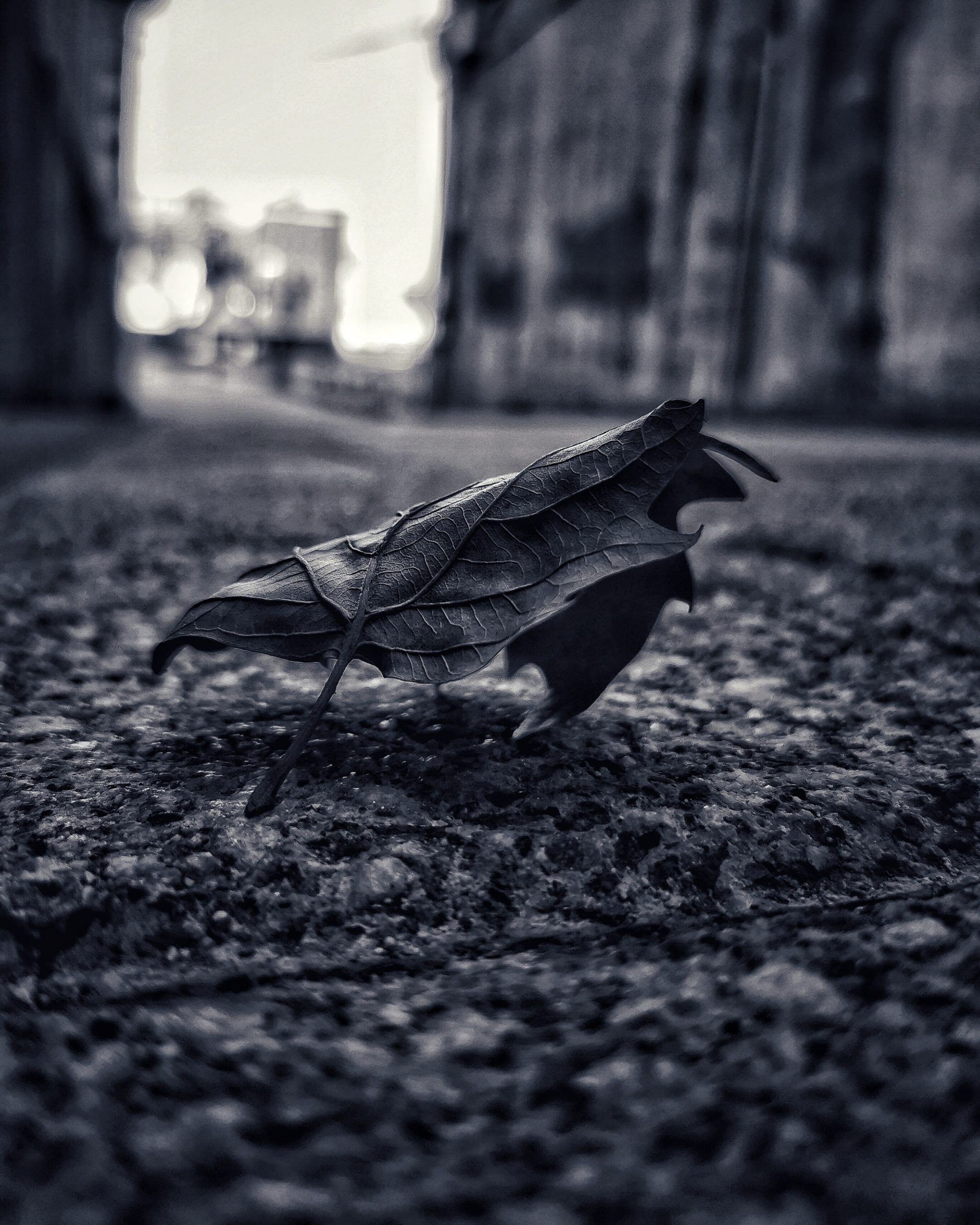 Creatividad 9 – Fotografía creativa móvil en Barakaldo | Ibarakaldo