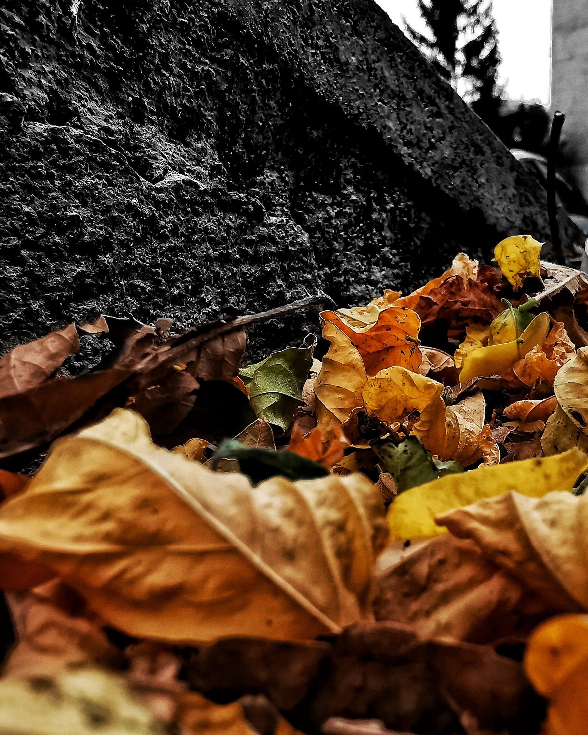 Los pequeños detalles 5 – Fotografía creativa móvil en Barakaldo | Ibarakaldo