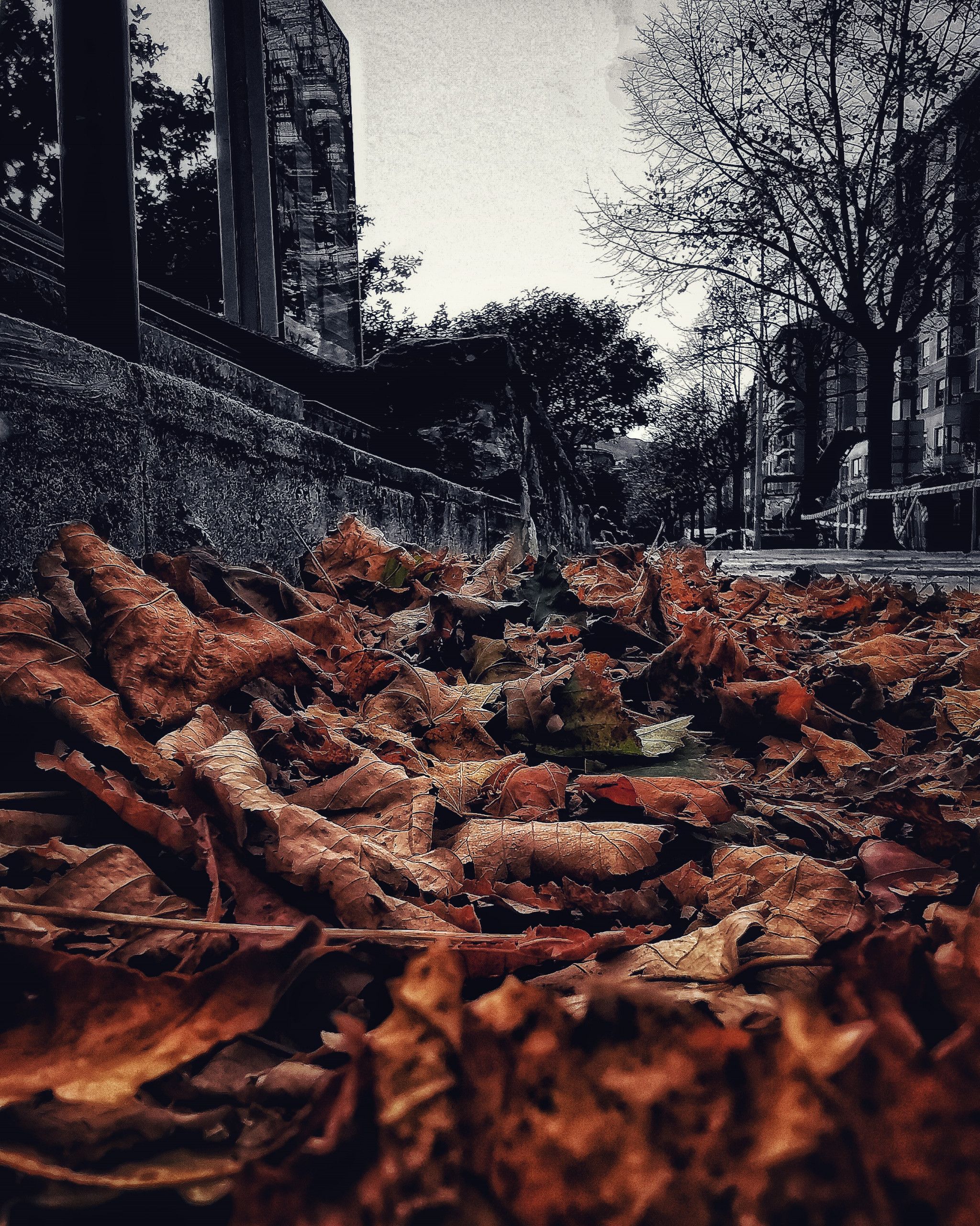 Los pequeños detalles 3  – Fotografía creativa móvil en Barakaldo | Ibarakaldo