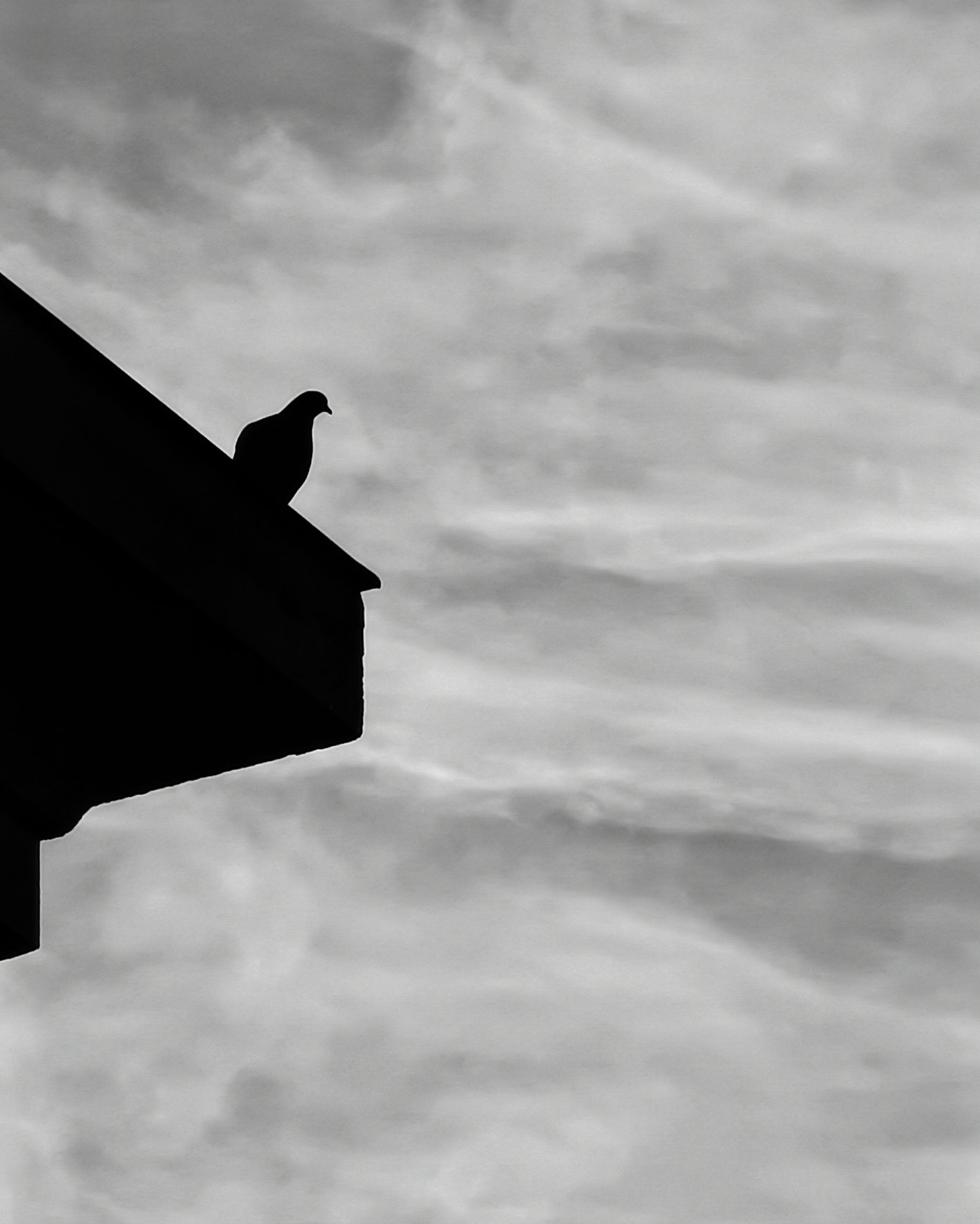 El Vigia – Fotografía creativa móvil en Barakaldo | Ibarakaldo