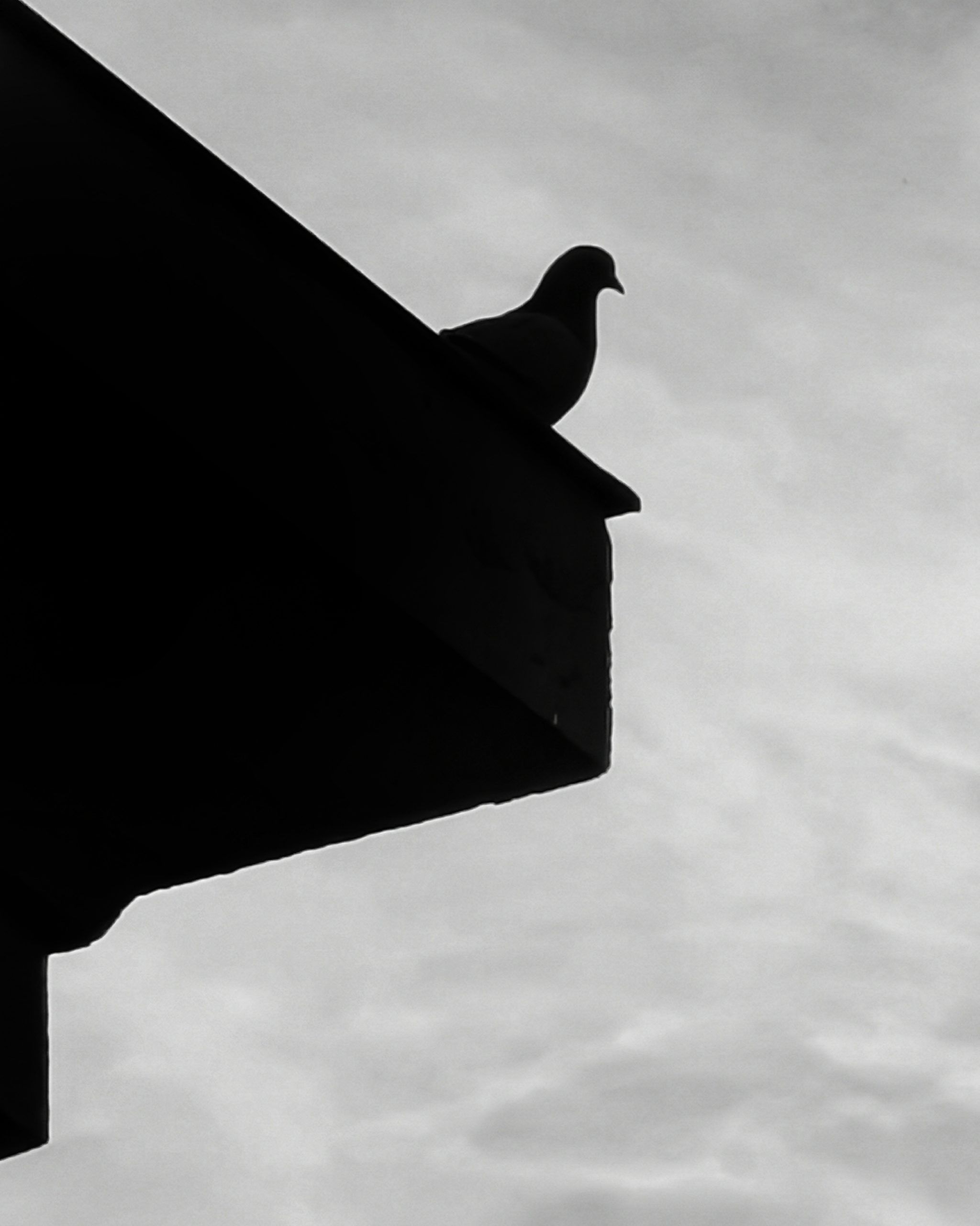 El Vigia 2 – Fotografía creativa móvil en Barakaldo | Ibarakaldo