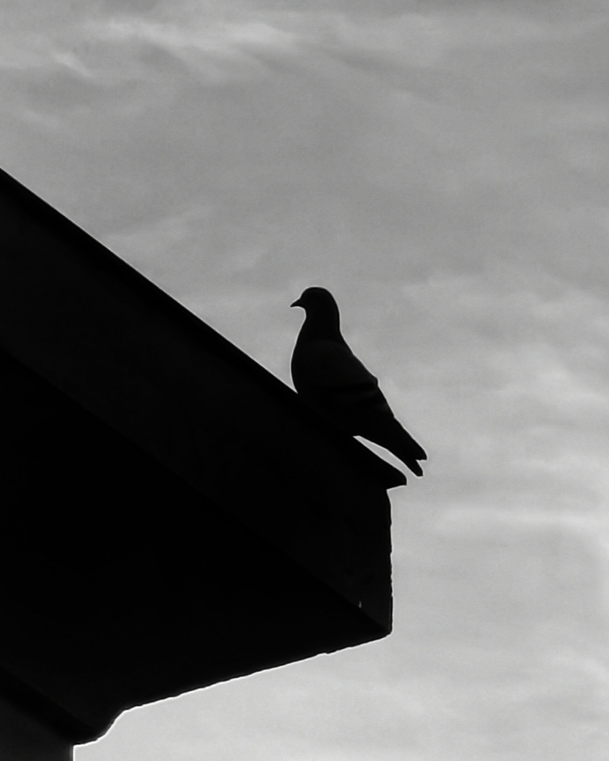 El Vigia 3 – Fotografía creativa móvil en Barakaldo | Ibarakaldo