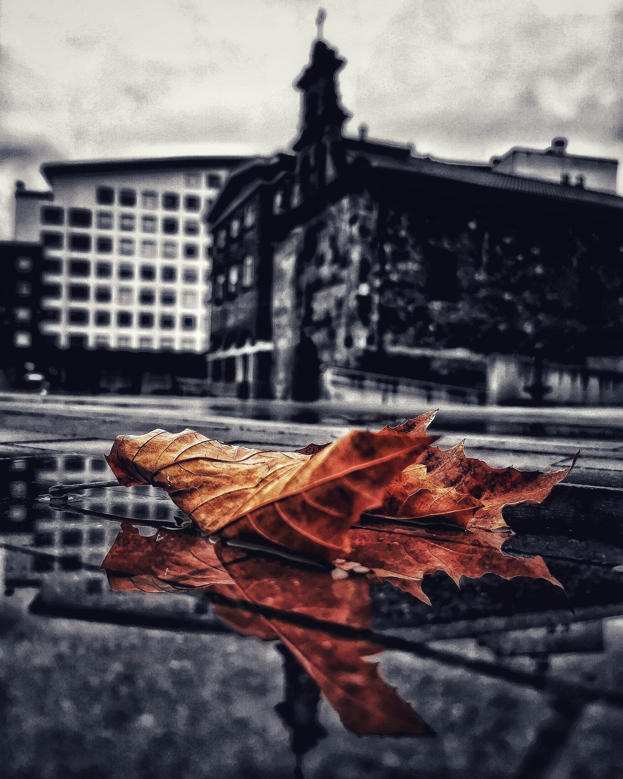 Los pequeños detalles – Fotografía creativa móvil en Barakaldo | Ibarakaldo