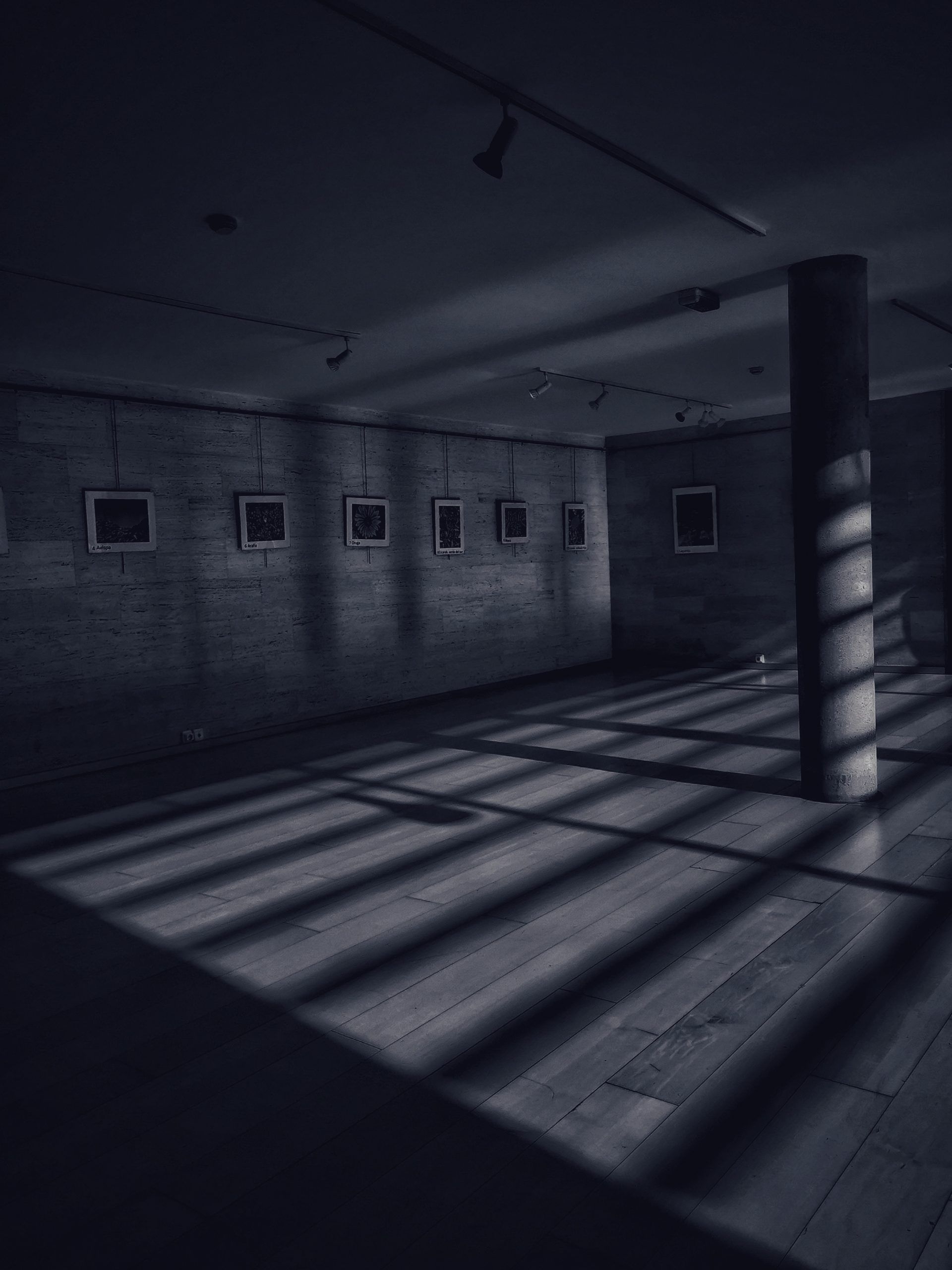 Creatividad 14  – Fotografía creativa móvil en Barakaldo | Ibarakaldo