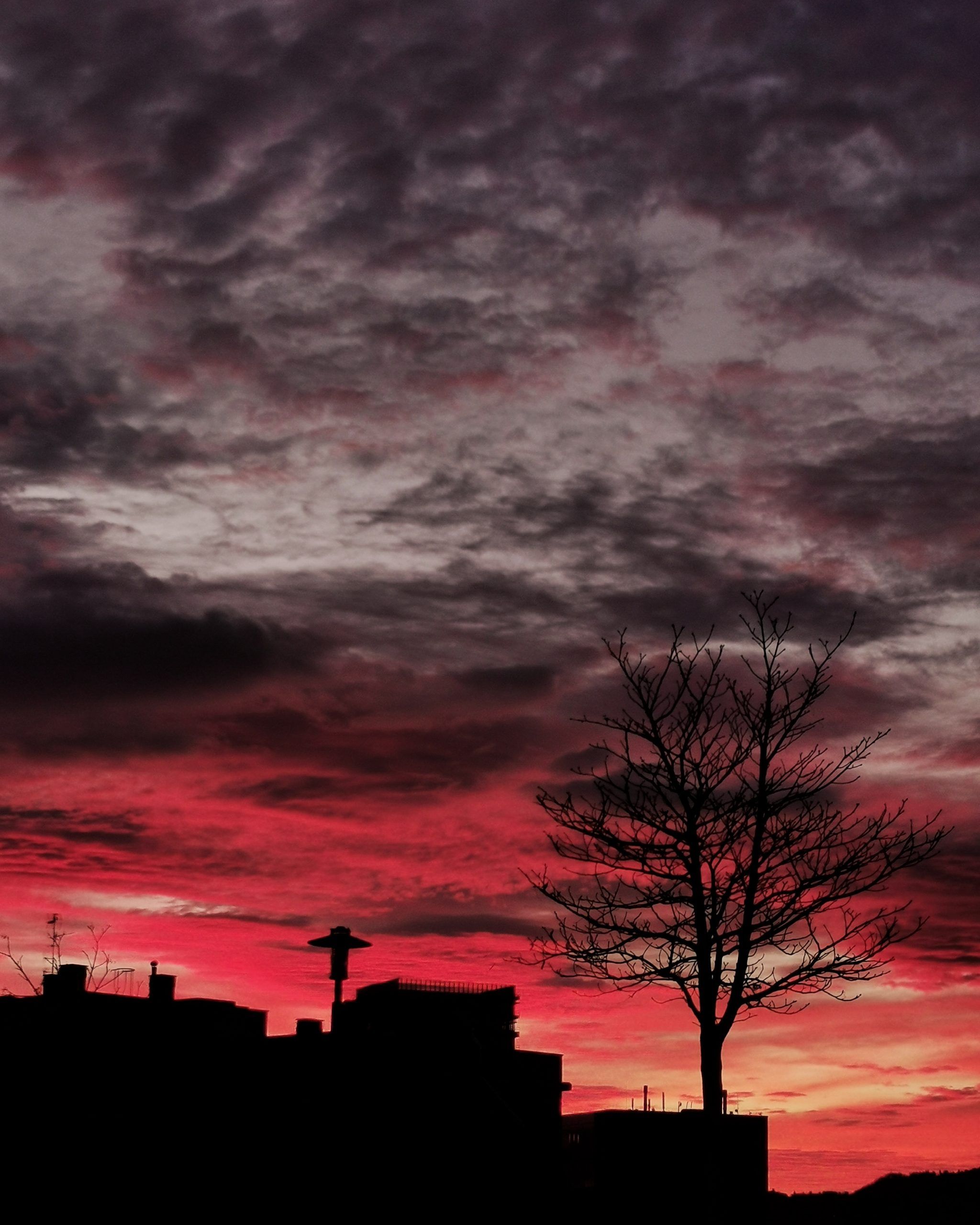 Made in Heaven 8 – El Cielo en Barakaldo | Ibarakaldo