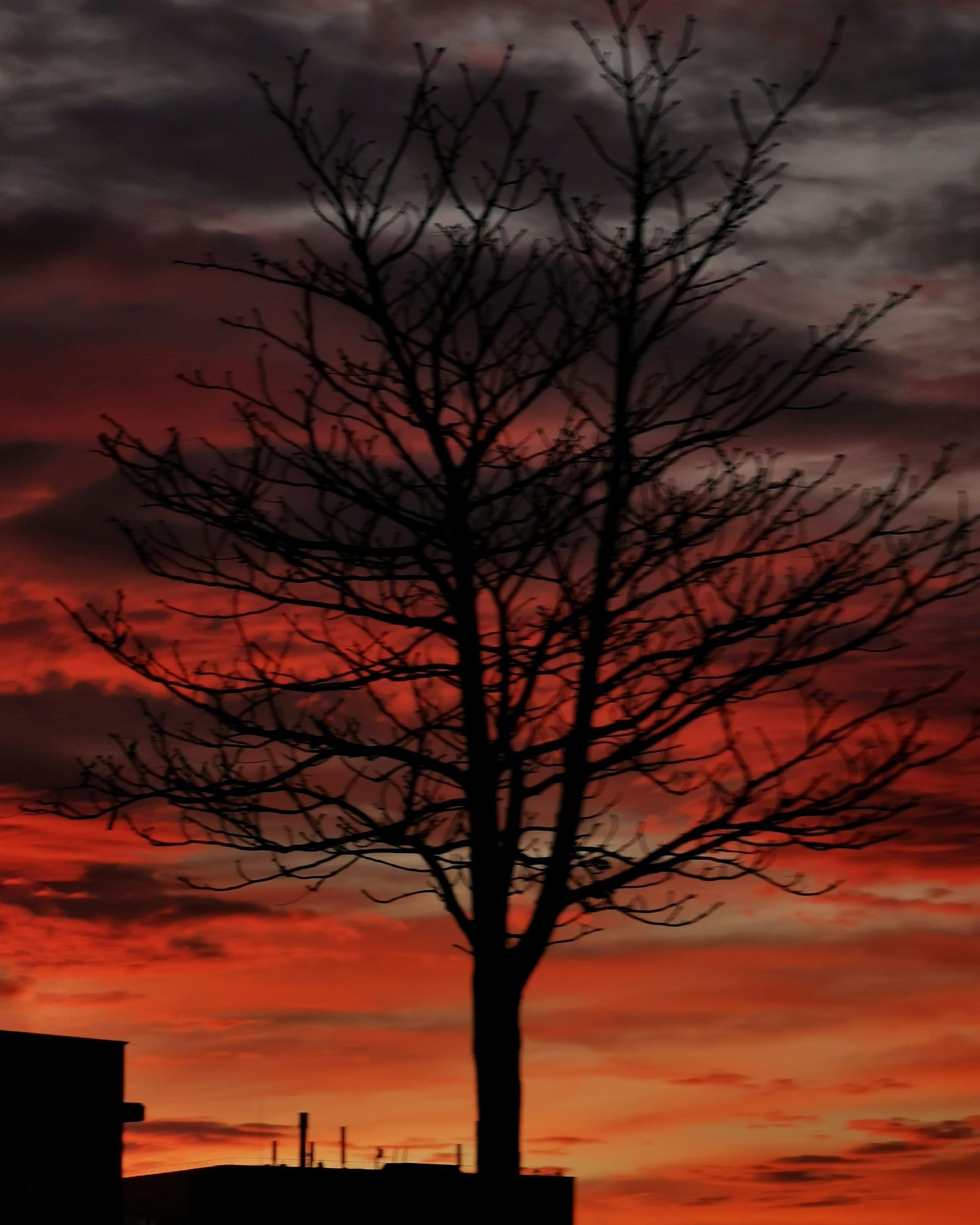 Made in Heaven 7 – El Cielo en Barakaldo | Ibarakaldo