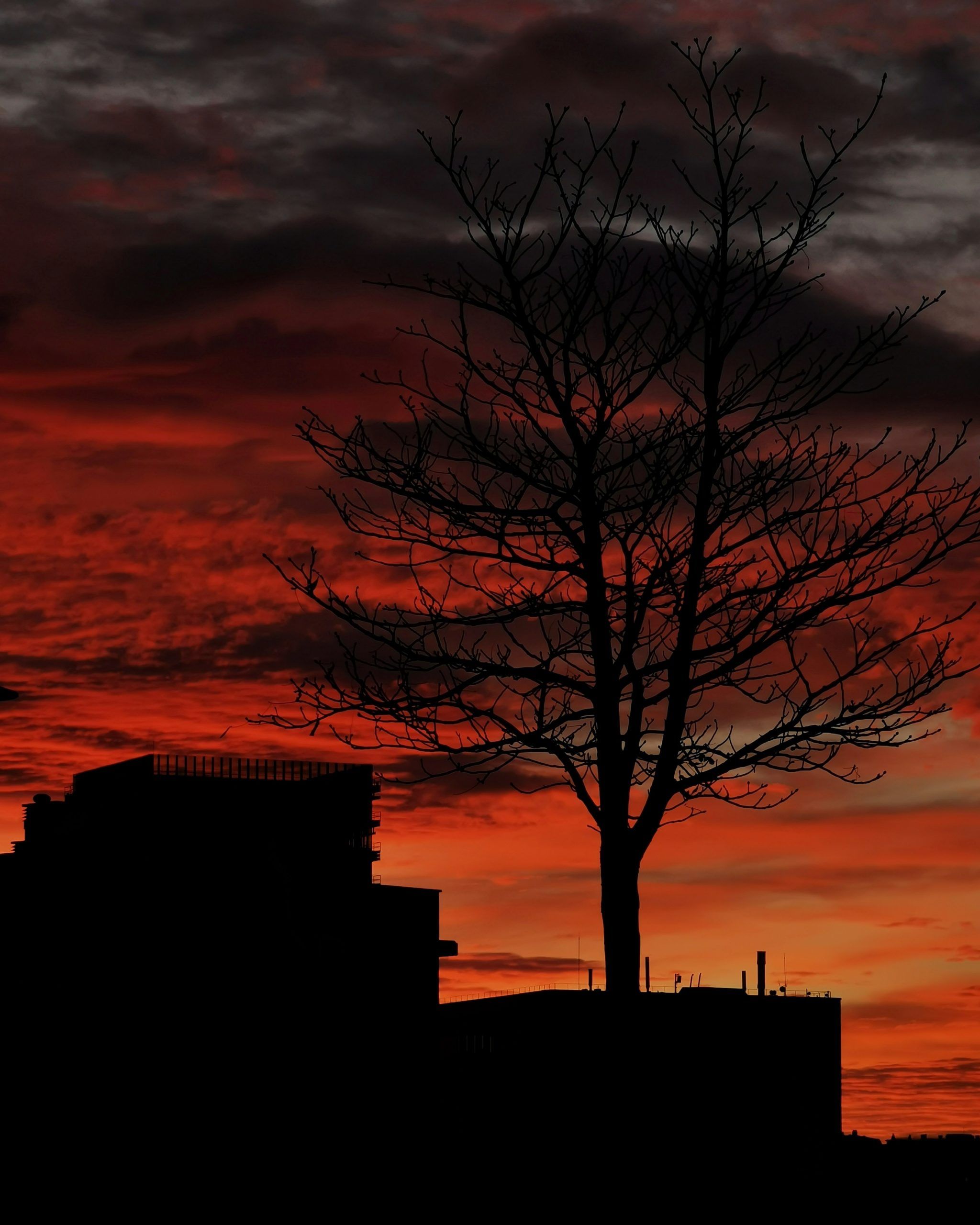 Made in Heaven 6 – El Cielo en Barakaldo | Ibarakaldo