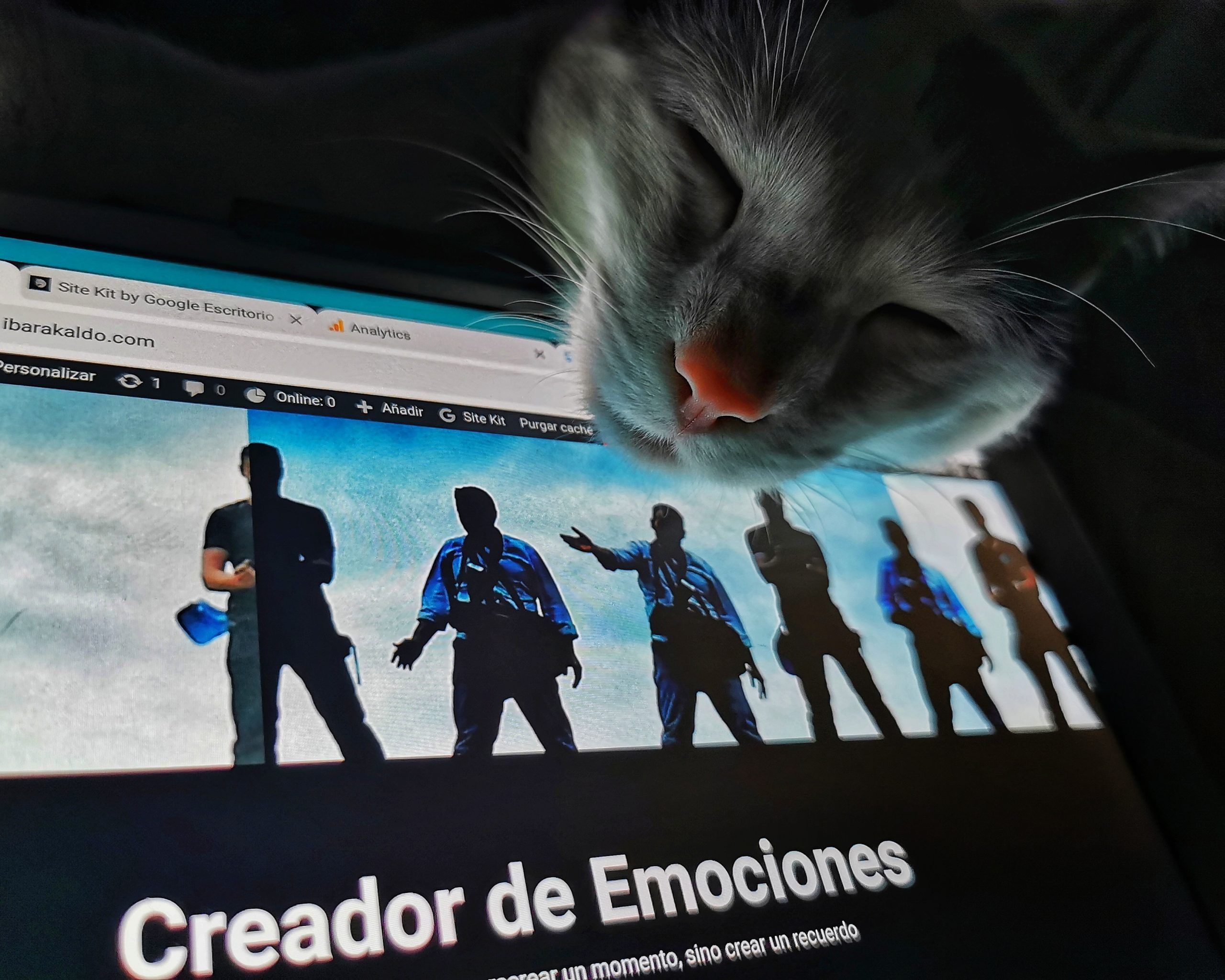 Curioseando… | Aventuras y Travesuras de  Max El Travieso un Gato Juguetón