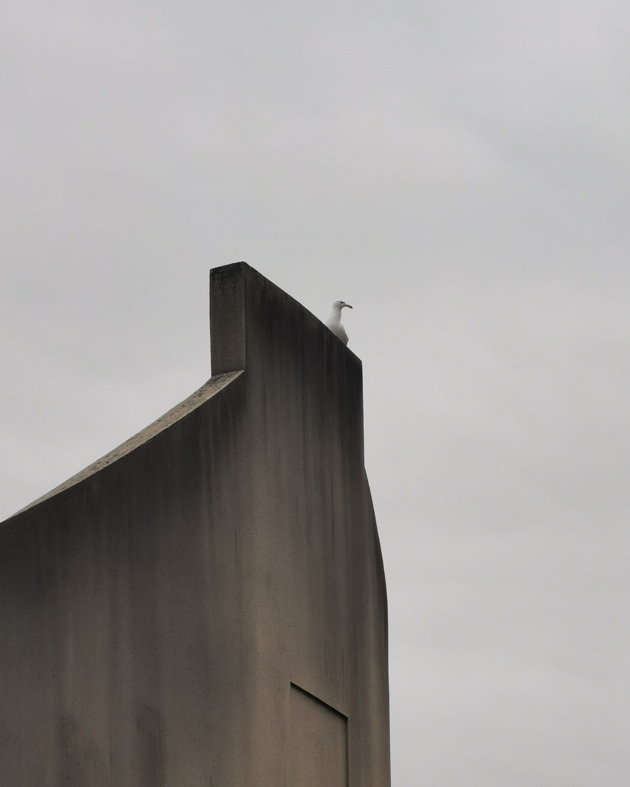 Un descanso en el camino – Fotografía creativa móvil en Barakaldo | Ibarakaldo