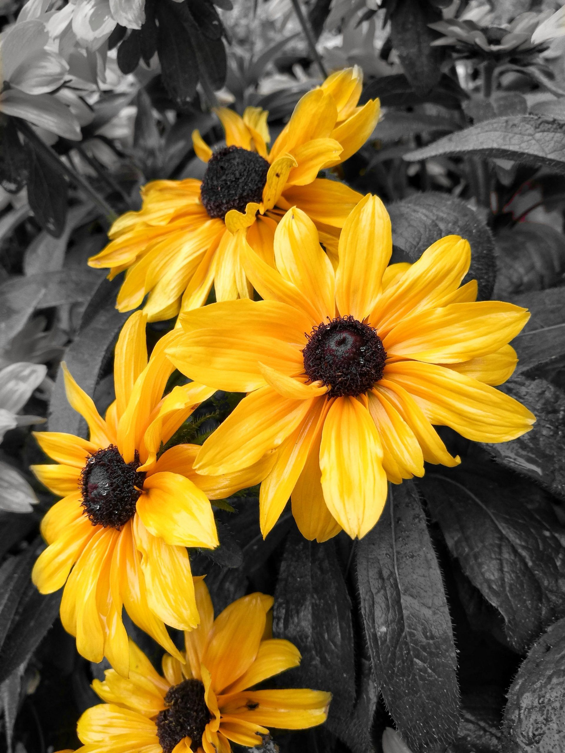 Ya es Primavera  | Momentos Splash. Fotografía Creativa Ibarakaldo