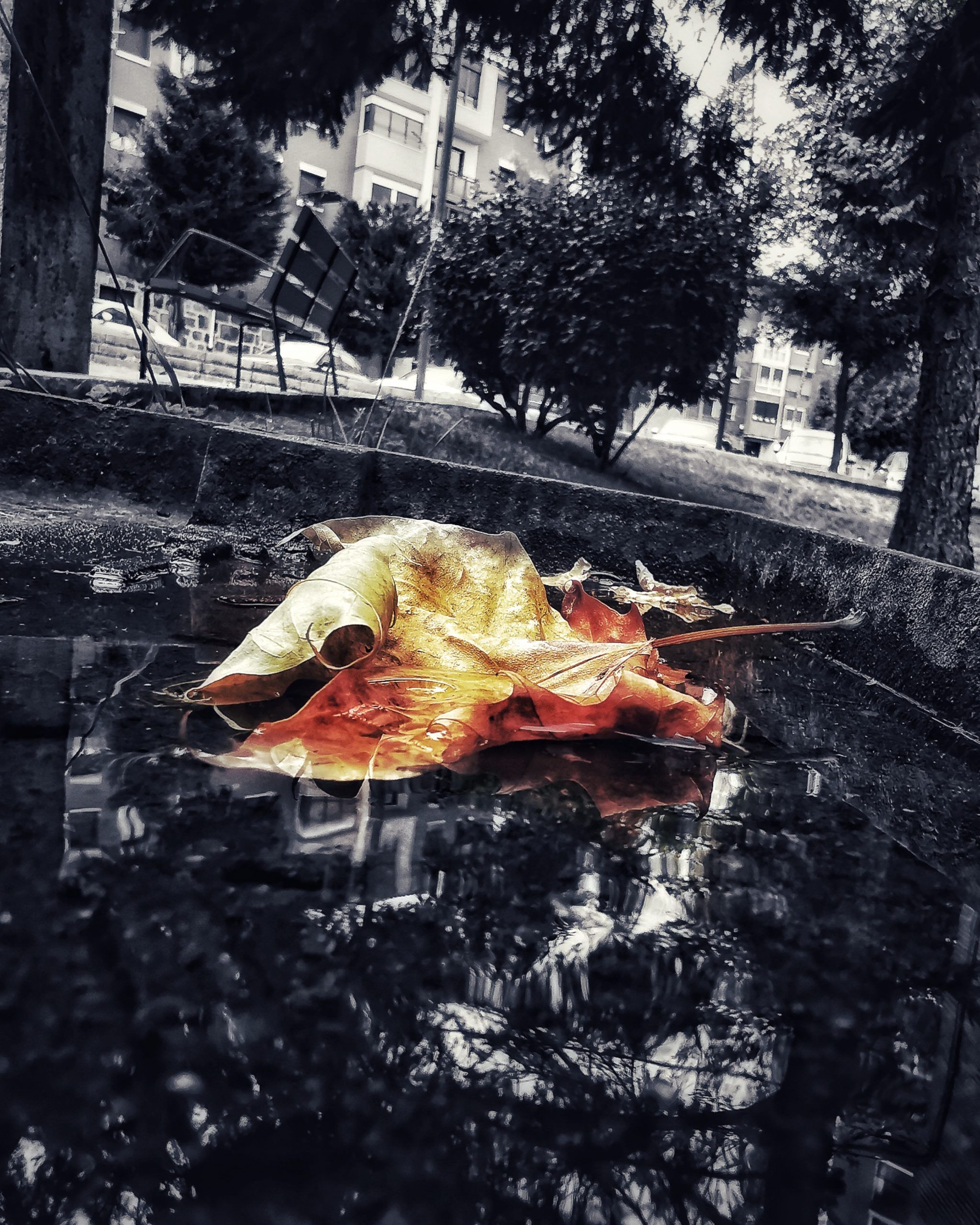 Los pequeños detalles 4 – Fotografía creativa móvil en Barakaldo | Ibarakaldo