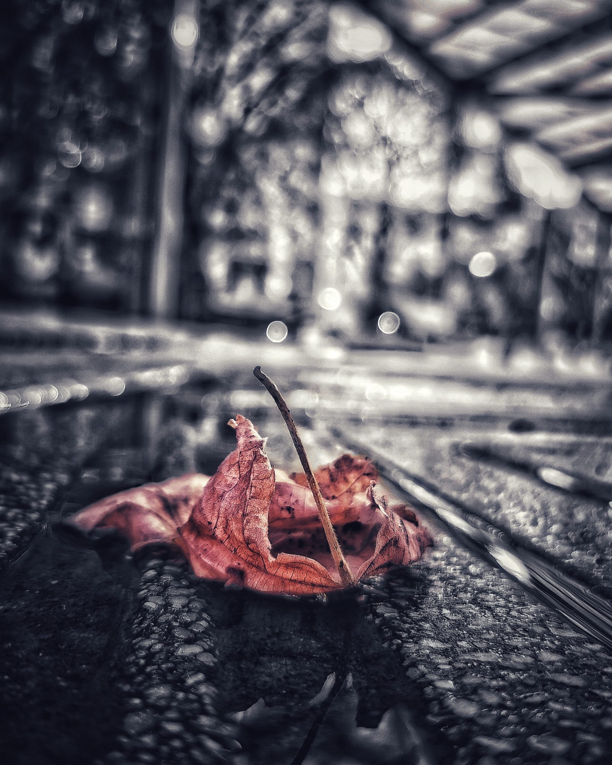 Los pequeños detalles 2 –  Fotografía creativa móvil en Barakaldo | Ibarakaldo