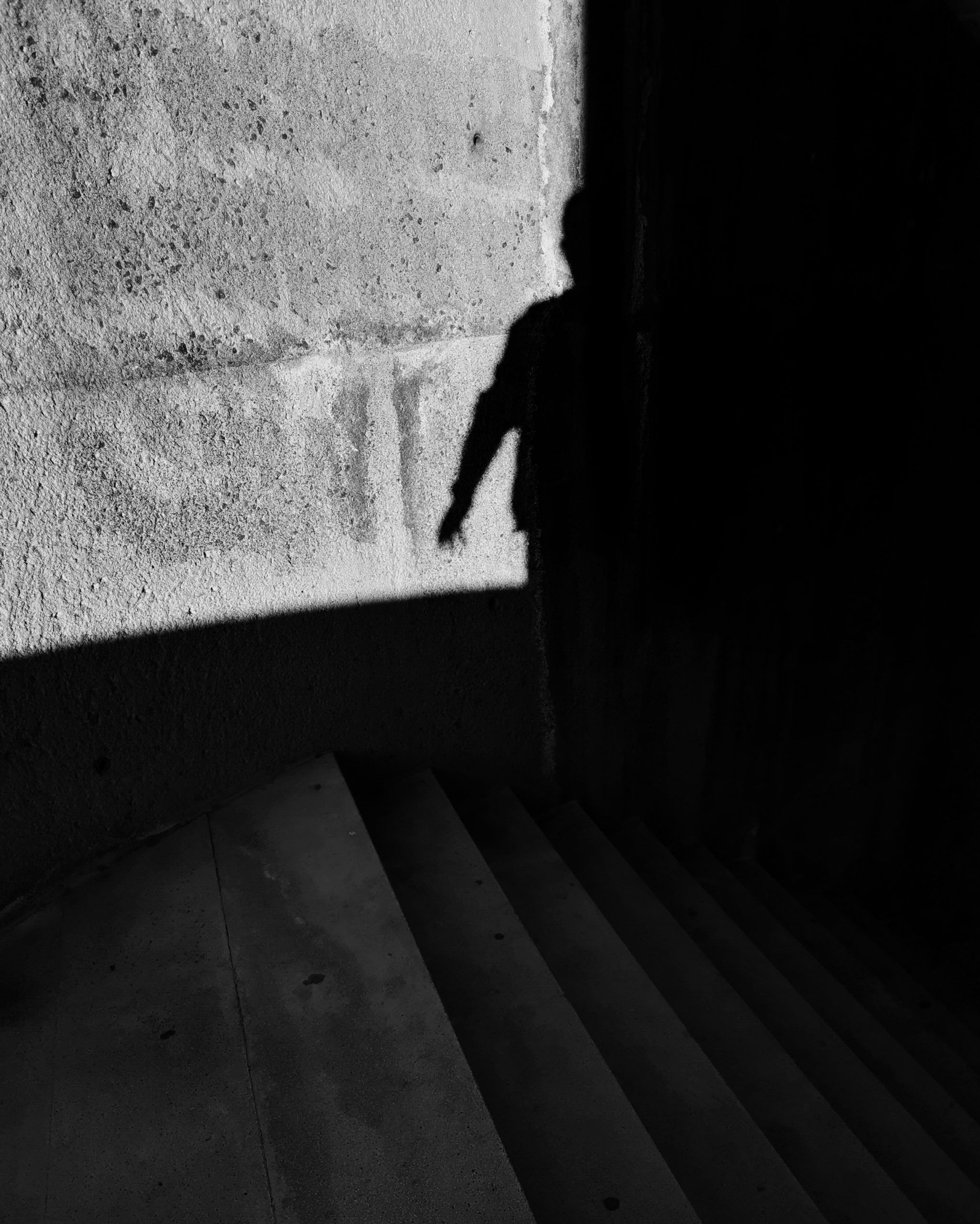 Camuflaje – Fotografía creativa móvil en Barakaldo | Ibarakaldo