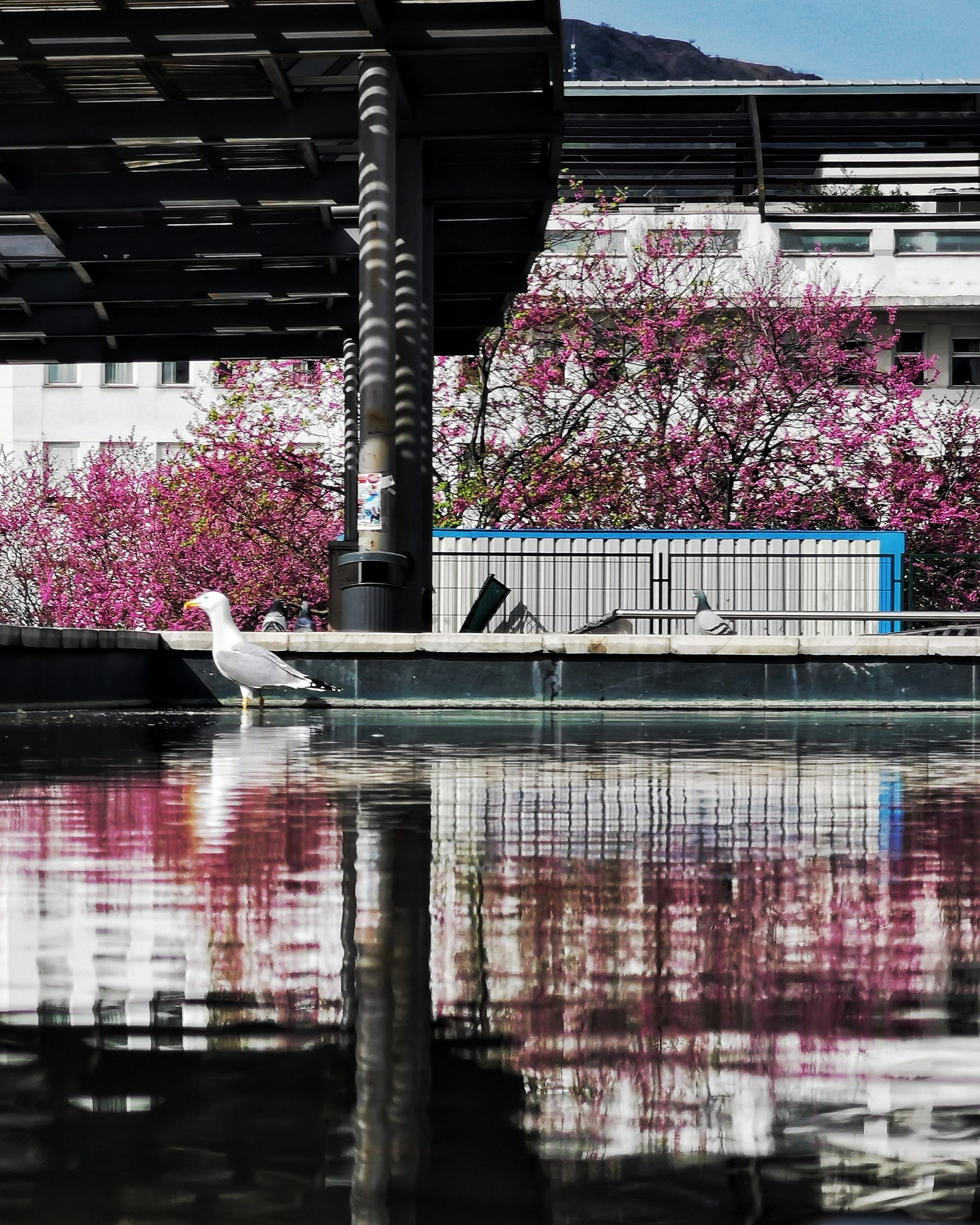 Reflejos 27  – Fotografía creativa móvil en Barakaldo | Ibarakaldo