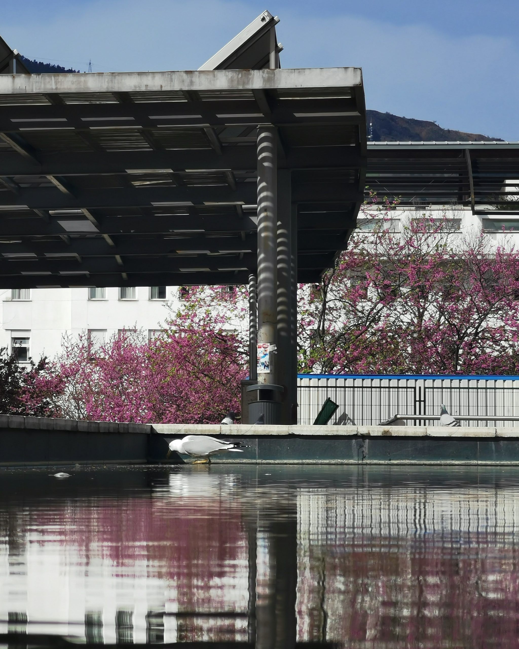 Reflejos 30  – Fotografía creativa móvil en Barakaldo | Ibarakaldo