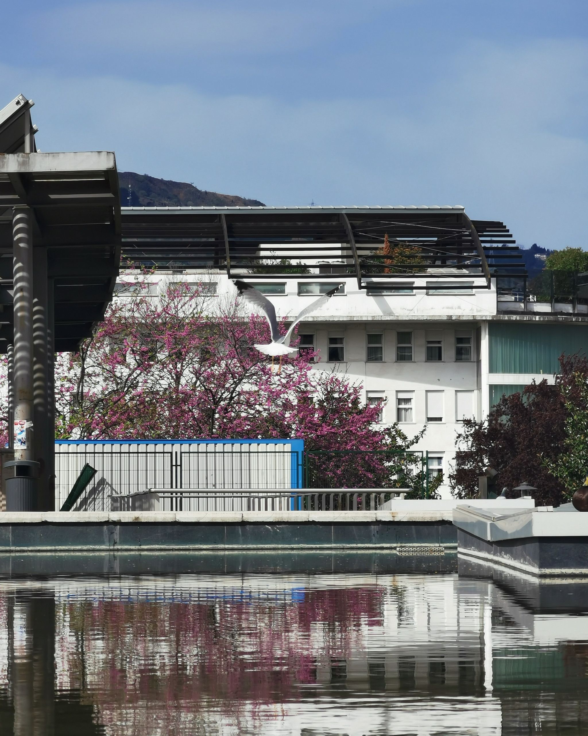 I can Fly – Fotografía creativa móvil en Barakaldo | Ibarakaldo