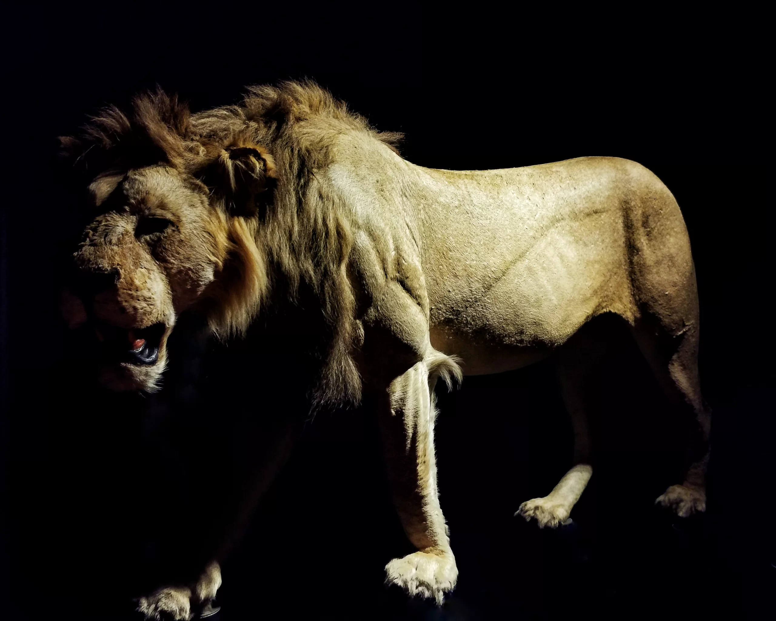 Simbologia 2 @athleticclub | Arte y fotografía en Bilbao | Ibarakaldo