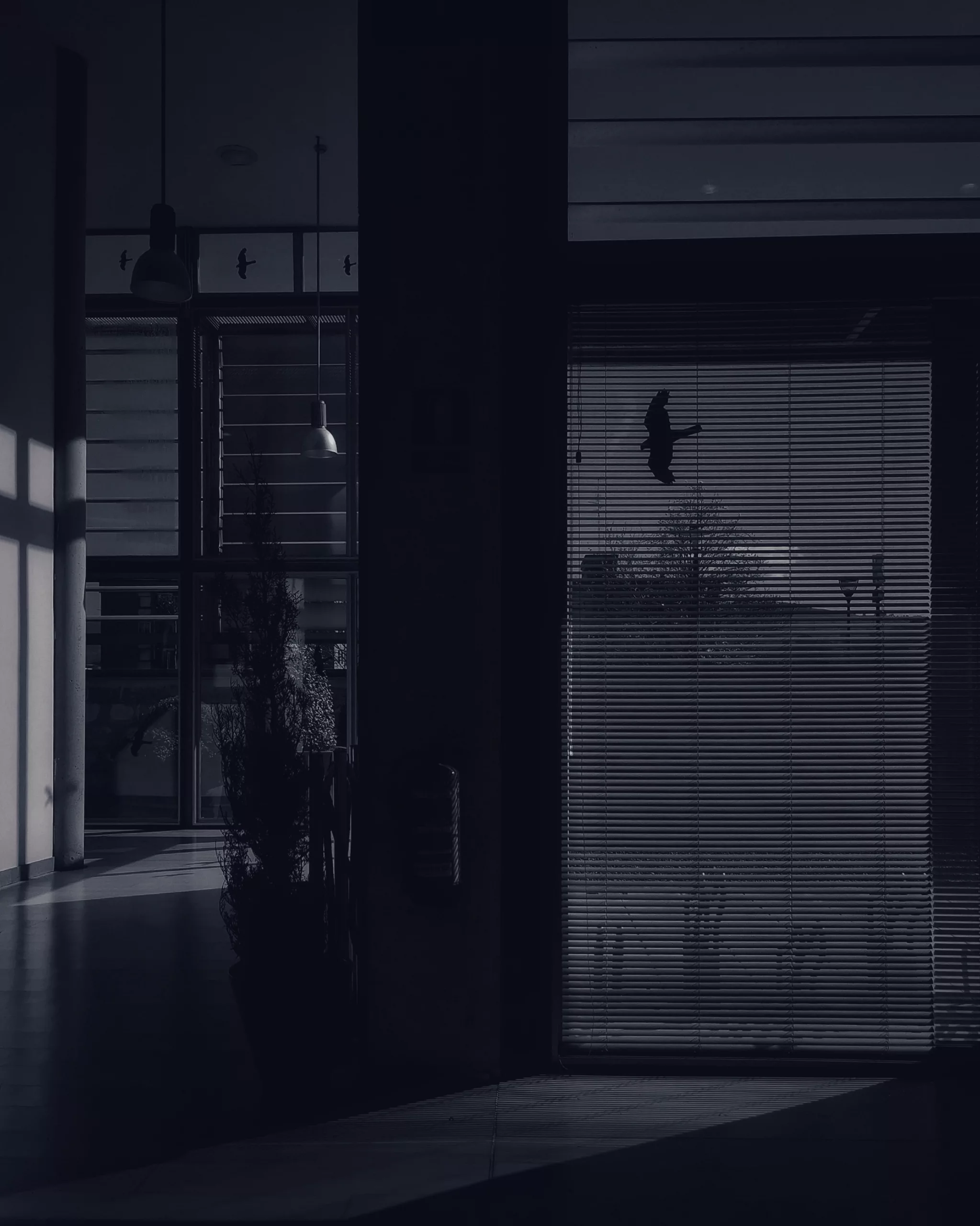 Escondido en la sombra – Fotografía creativa móvil en Barakaldo | Ibarakaldo