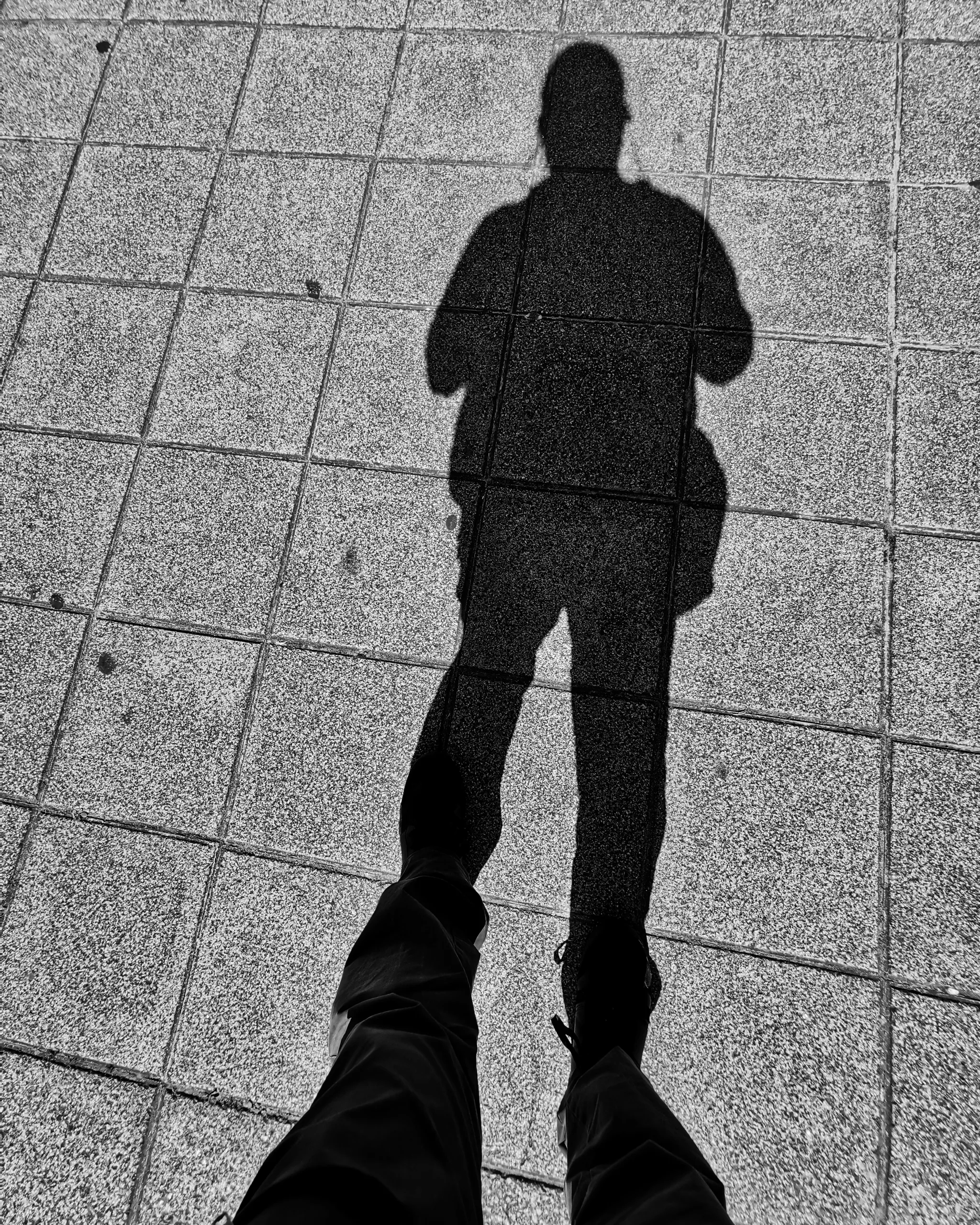 La sombra del ciprés es alargada – Fotografía creativa móvil en Barakaldo | Ibarakaldo