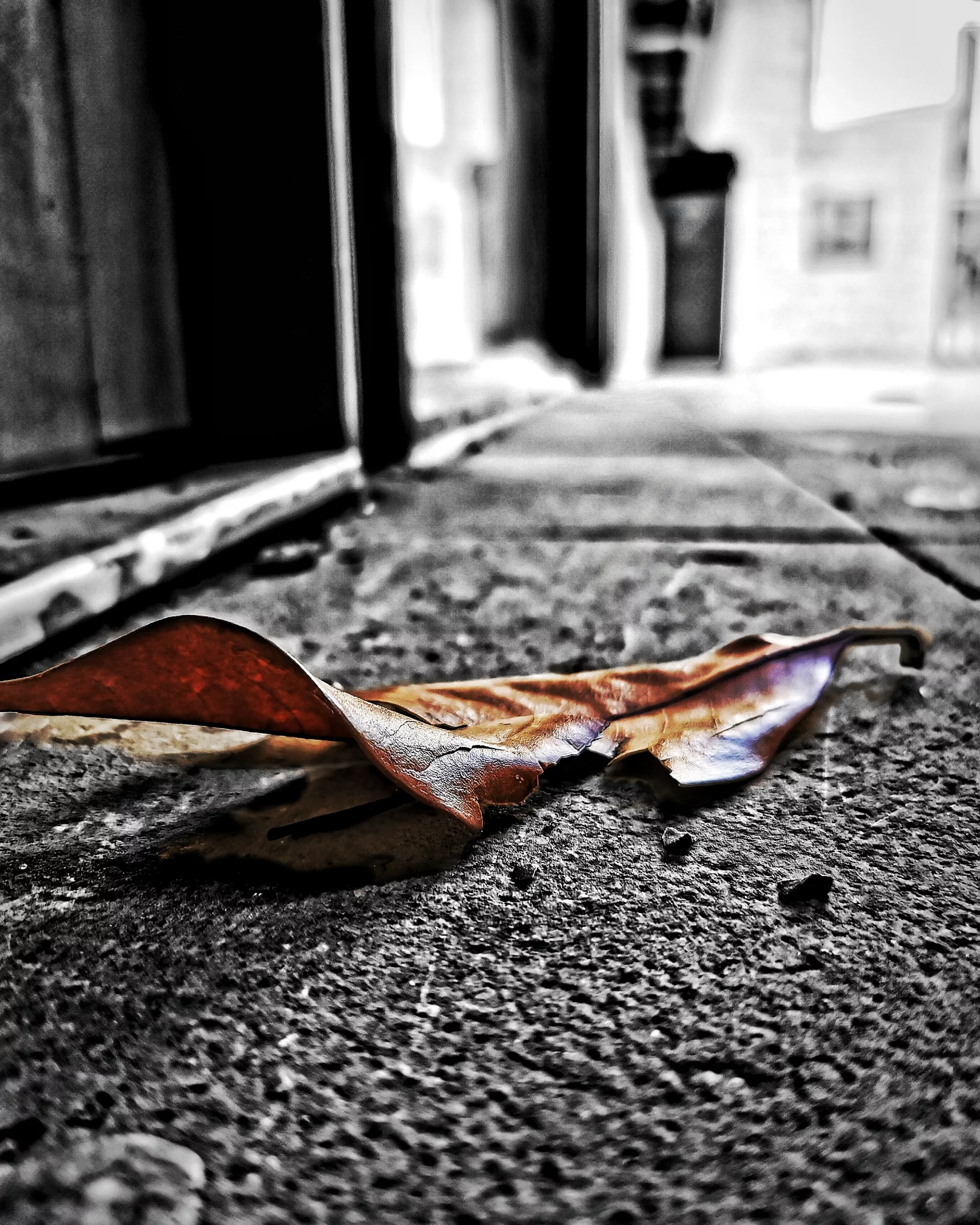 Los pequeños detalles 8 – Fotografía creativa móvil en Barakaldo | Ibarakaldo