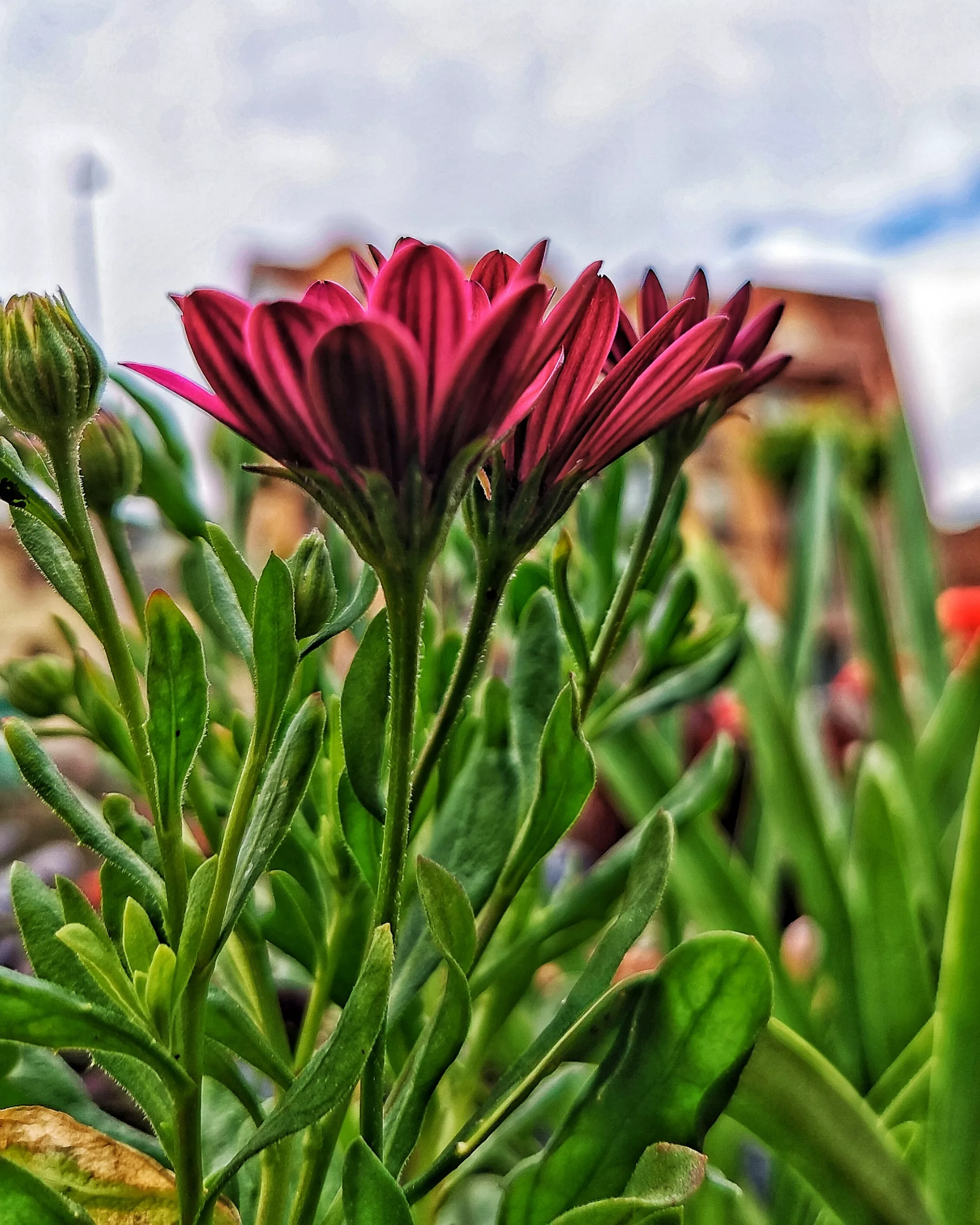 Magic moments… – Fotografía creativa móvil en Barakaldo | Ibarakaldo