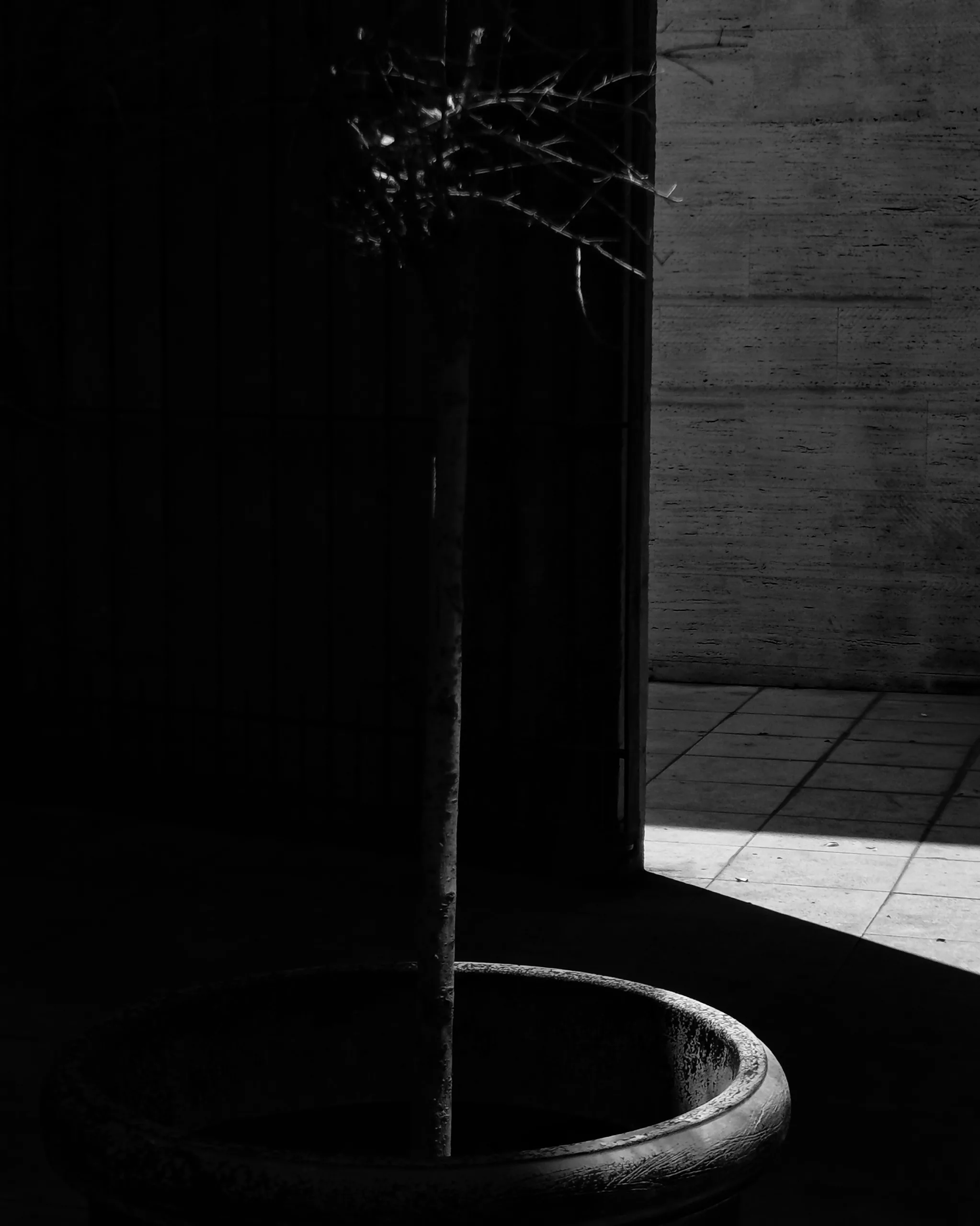 Creatividad 80 – Fotografía creativa móvil en Barakaldo | Ibarakaldo