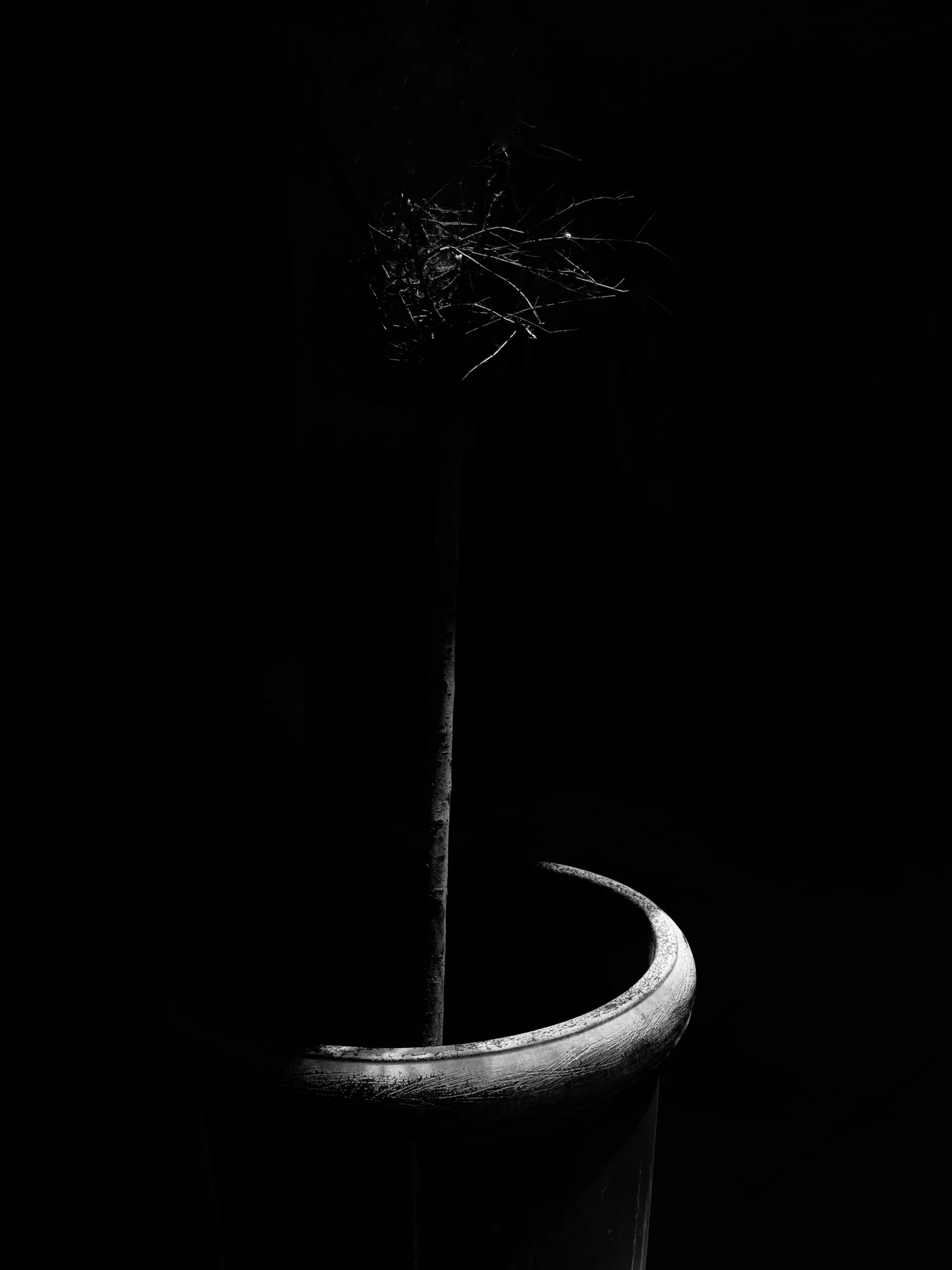 Imagina… – Fotografía creativa móvil en Barakaldo | Ibarakaldo