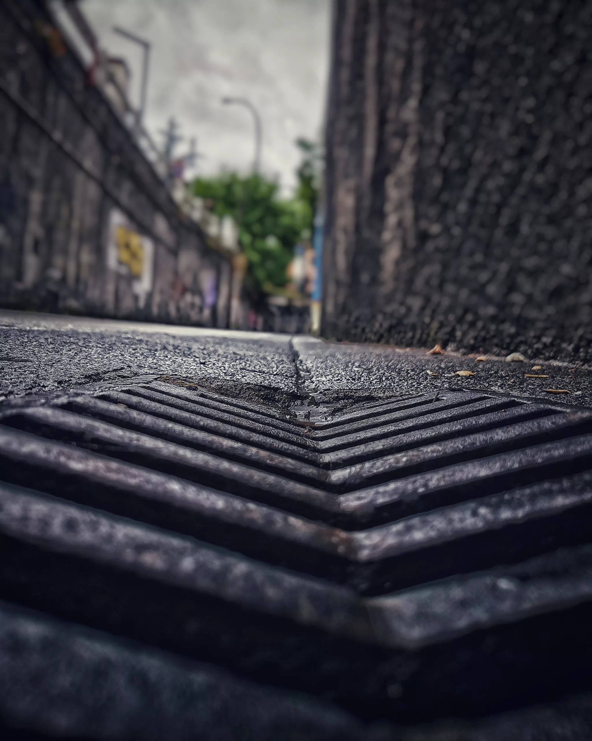 La belleza… – Fotografía creativa móvil en Barakaldo | Ibarakaldo