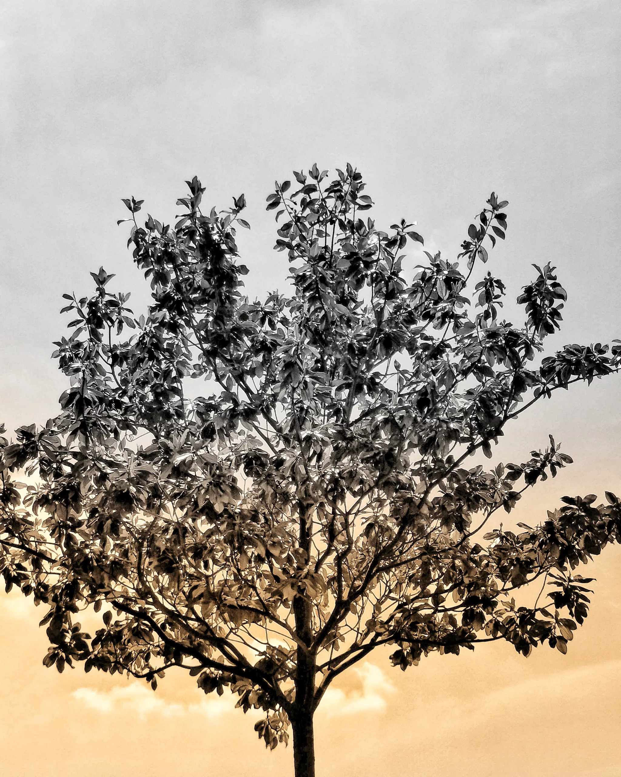 Simple… – Fotografía creativa móvil en Barakaldo | Ibarakaldo