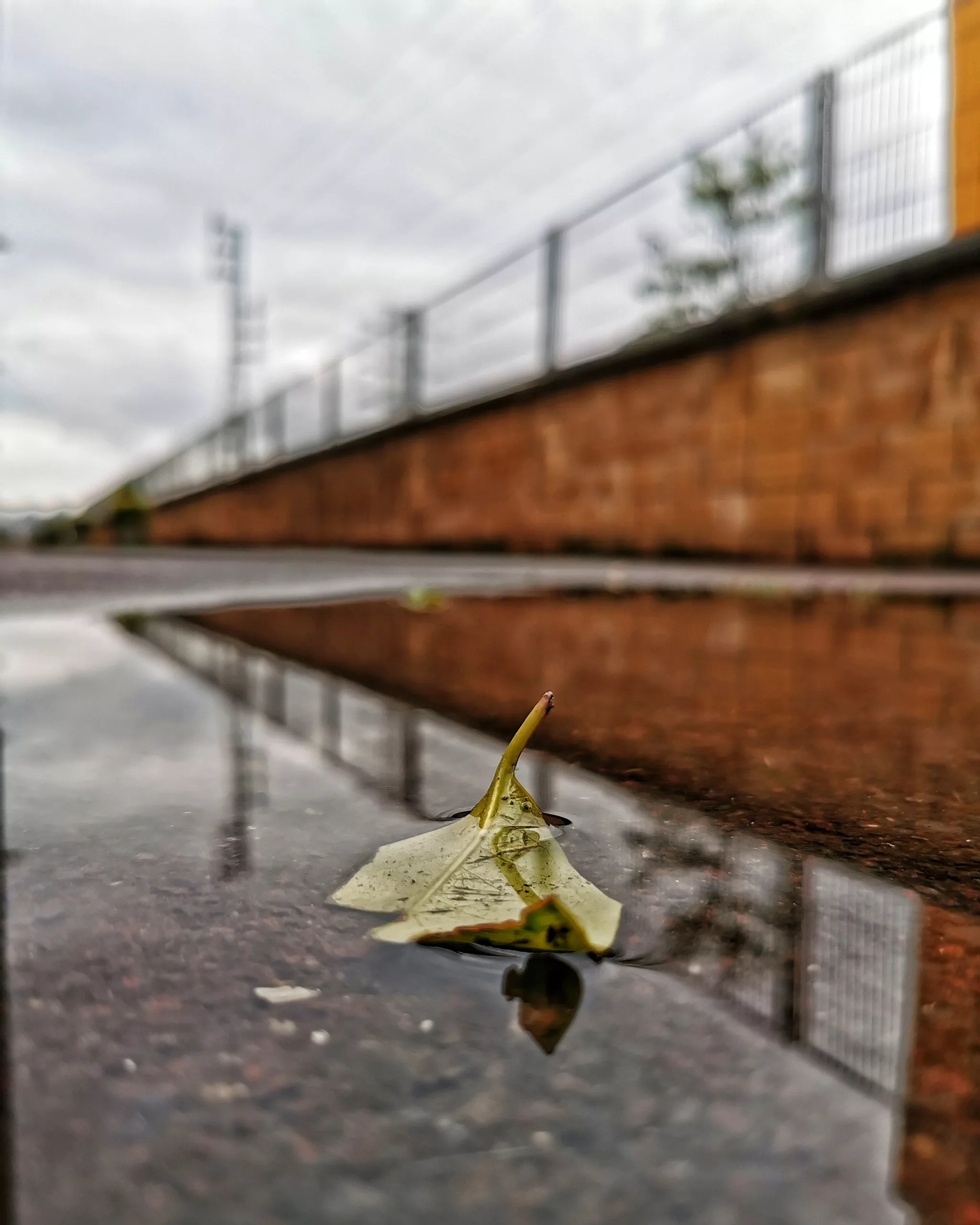 Lo simple… – Fotografía creativa móvil en Barakaldo | Ibarakaldo
