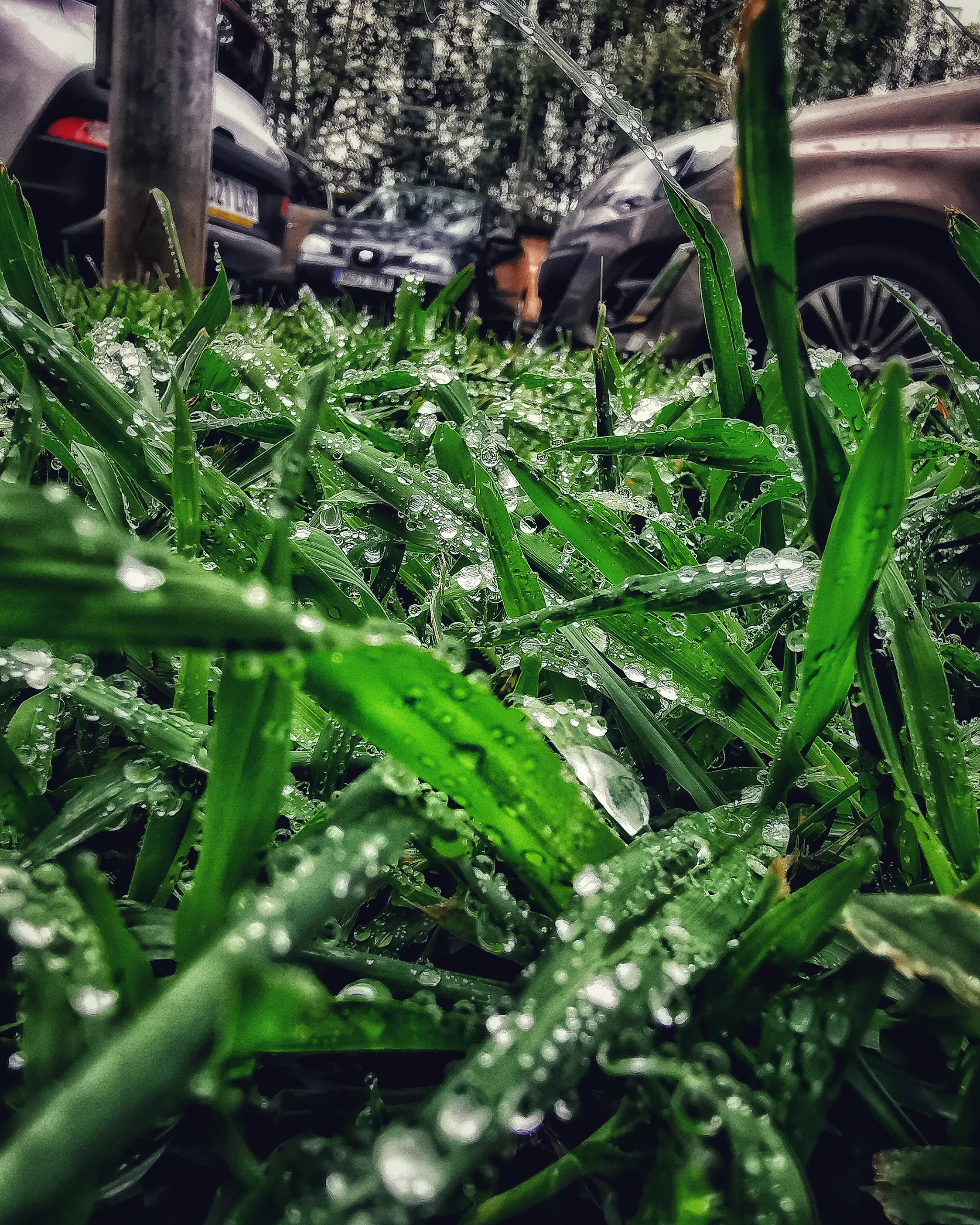 Manifestacion – Fotografía creativa móvil en Barakaldo | Ibarakaldo