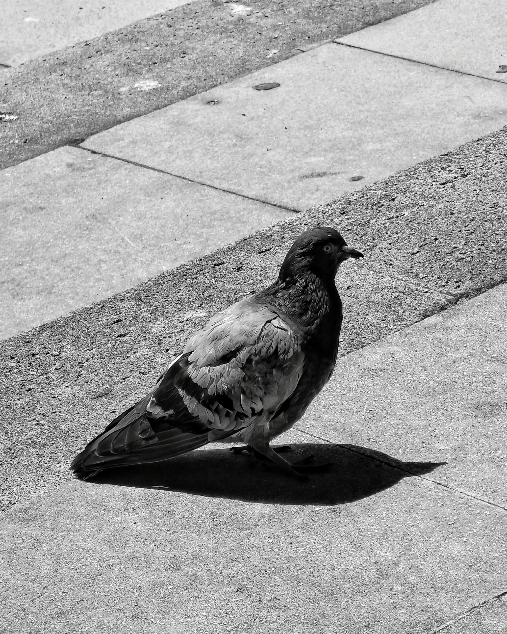 Postureo – Fotografía creativa móvil en Barakaldo | Ibarakaldo