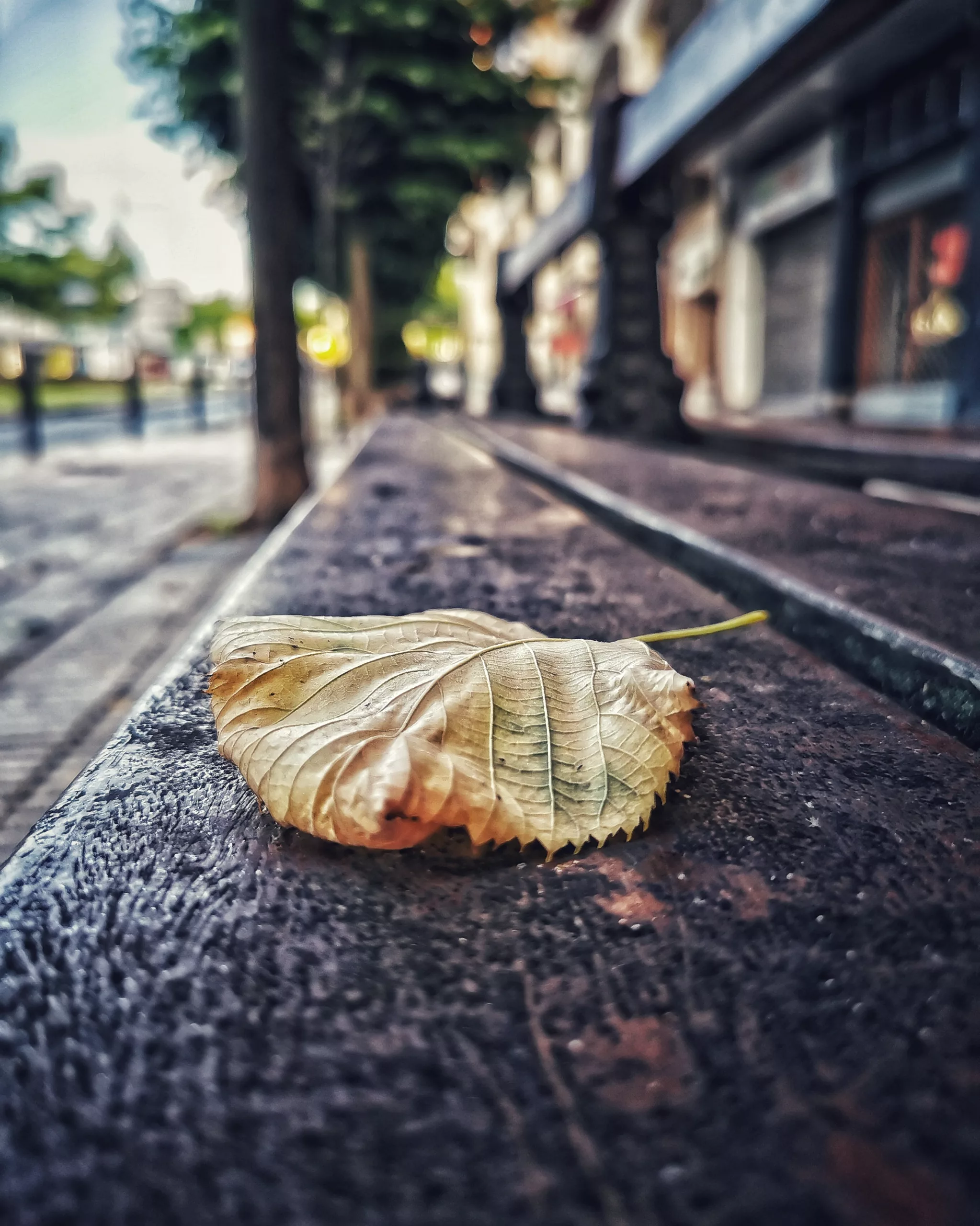 Esperanza… – Fotografía creativa móvil en Barakaldo | Ibarakaldo