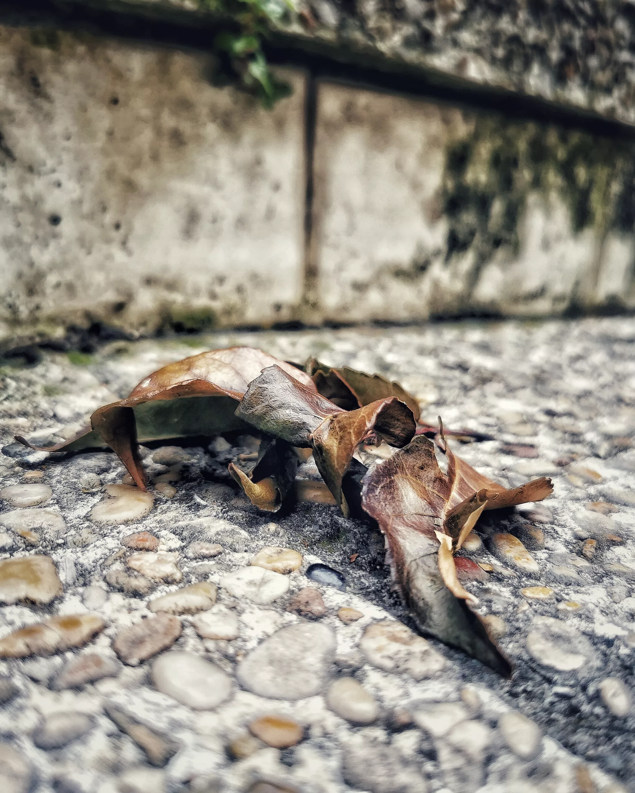 Esperanza 2 – Fotografía creativa móvil en Barakaldo | Ibarakaldo