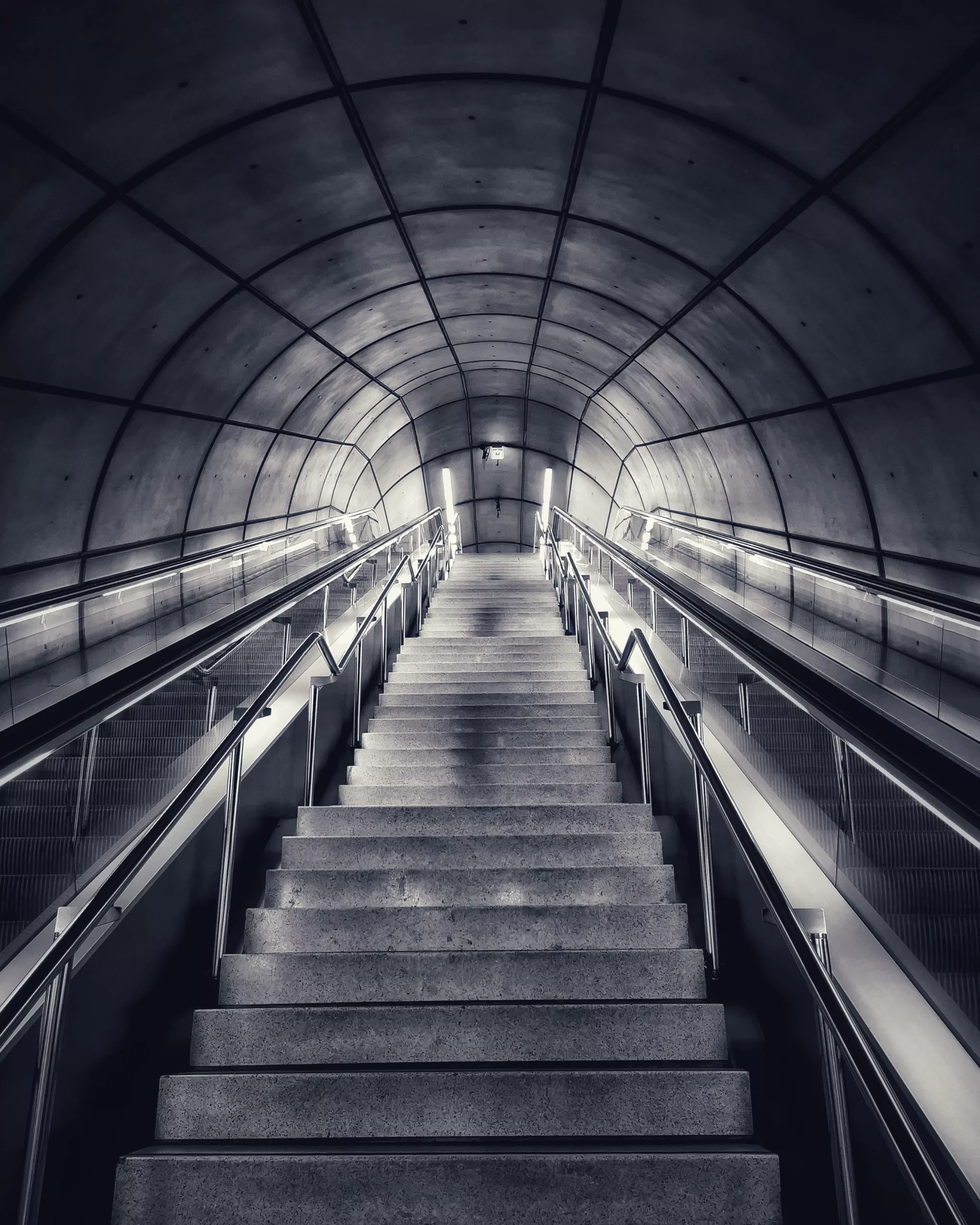 A pesar de todo…. – Fotografía creativa móvil en Barakaldo | Ibarakaldo