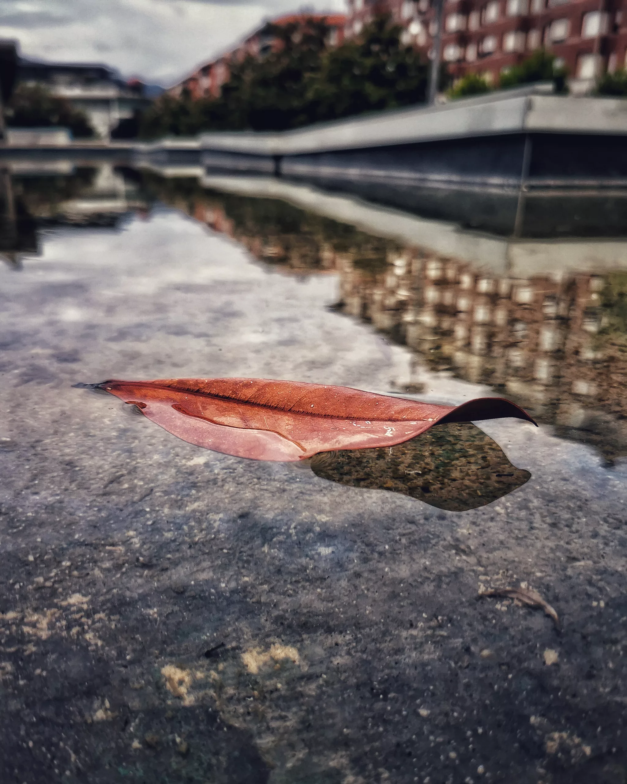 Reflejos 75 – Fotografía creativa móvil en Barakaldo | Ibarakaldo