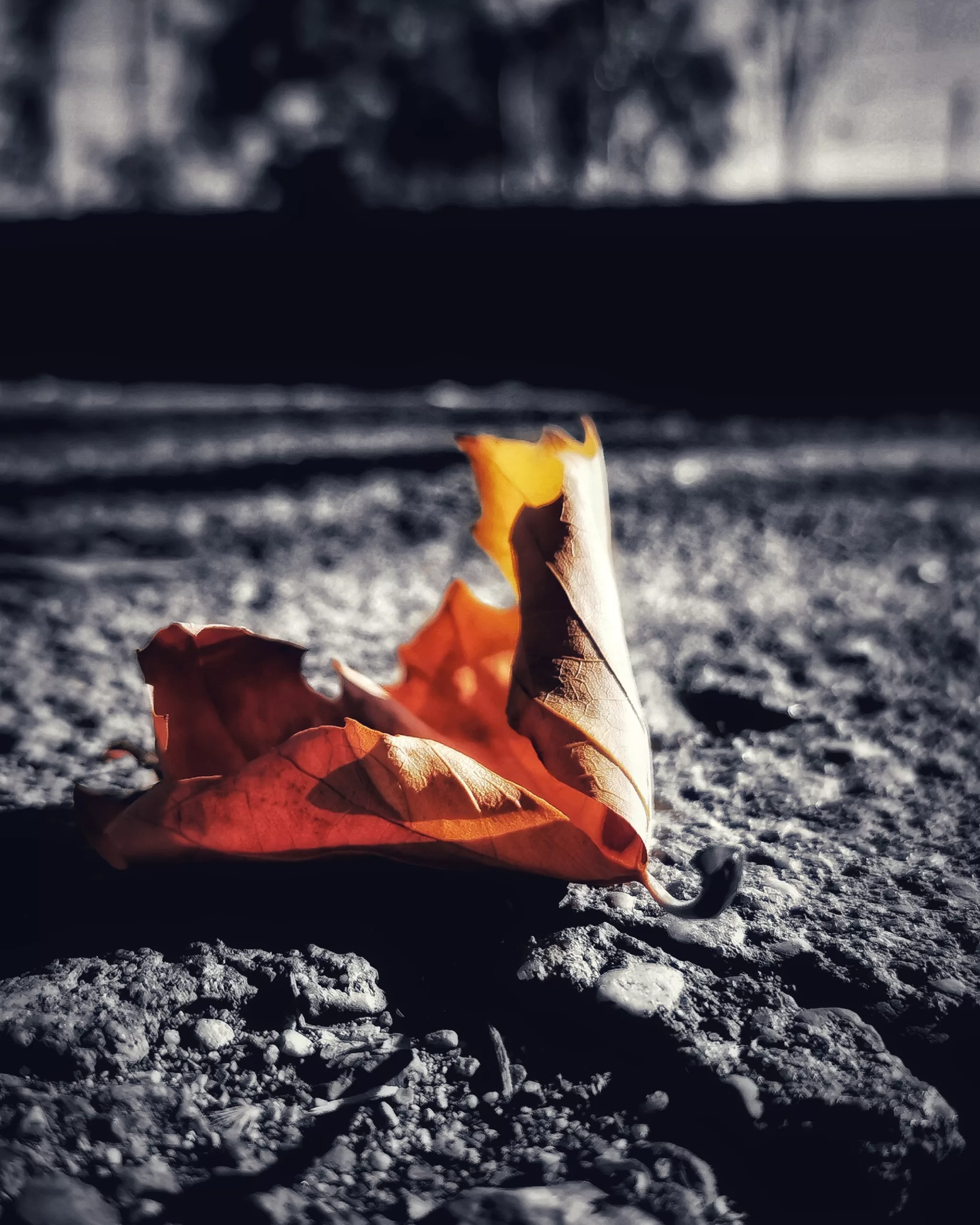 Los pequeños detalles 21 – Fotografía creativa móvil en Barakaldo | Ibarakaldo