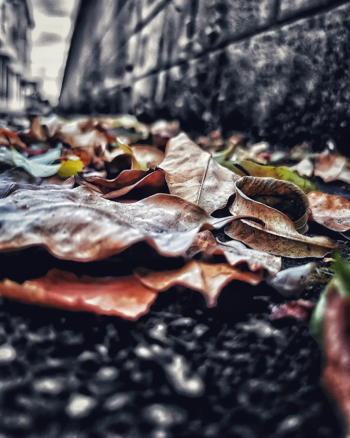 Pequeños detalles 23 – Fotografía creativa móvil en Barakaldo | Ibarakaldo