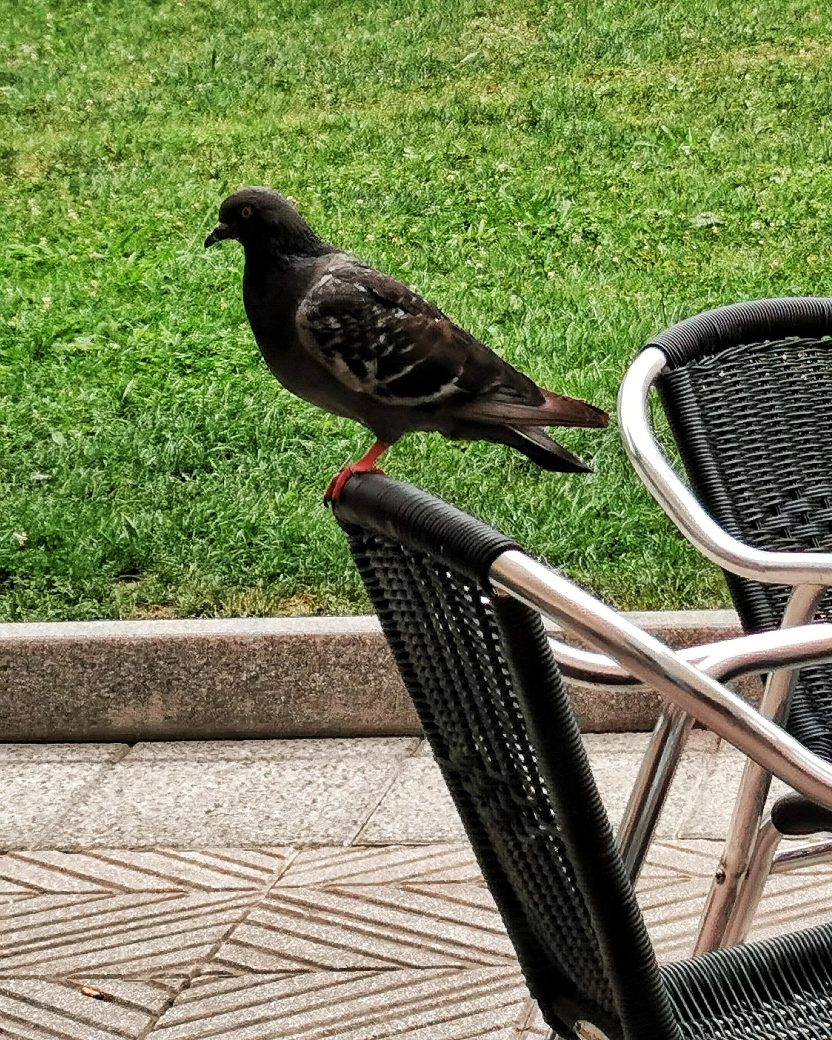 El Vigia 4  – Fotografía creativa móvil en Barakaldo | Ibarakaldo