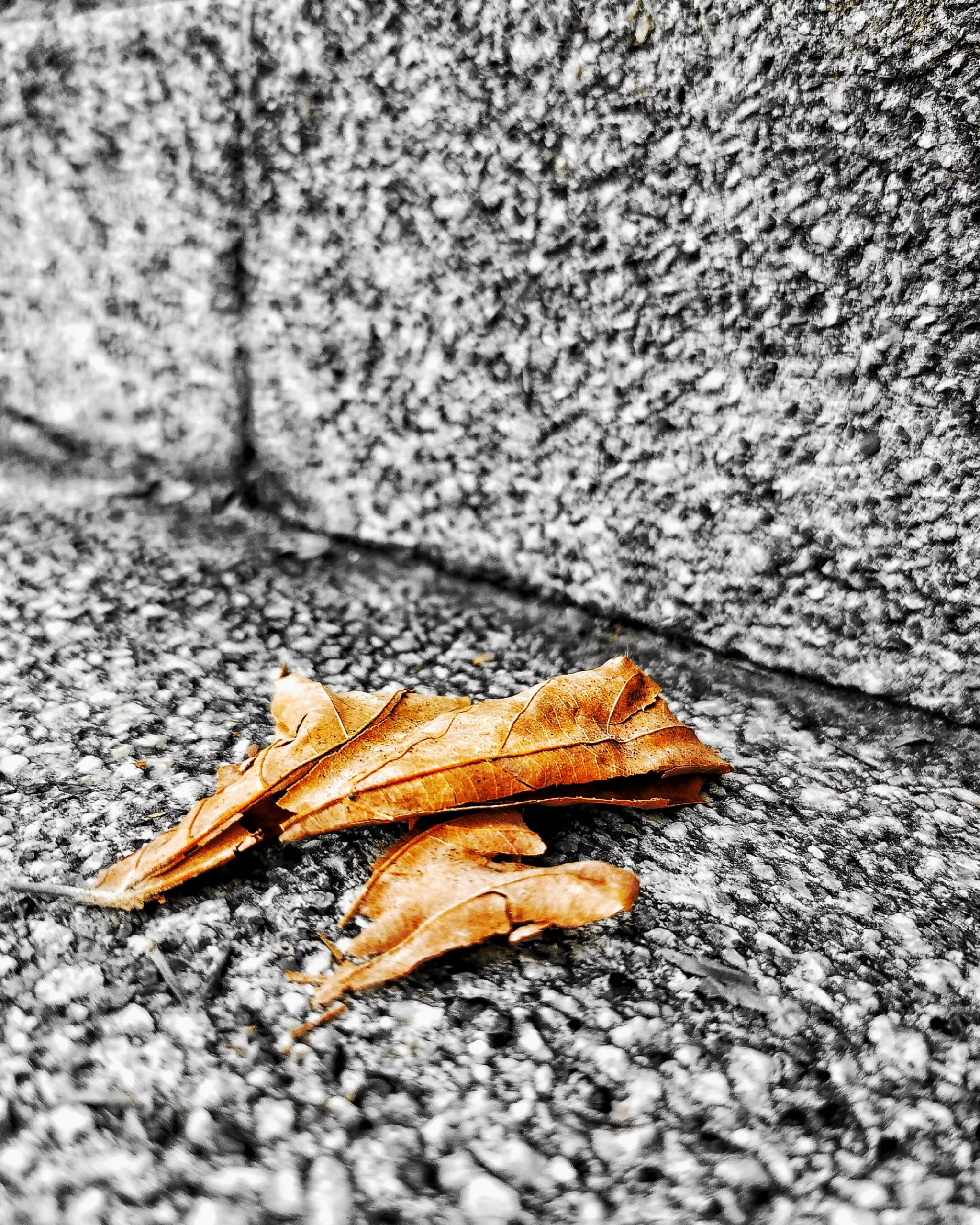 Pequeños detalles 26 – Fotografía creativa móvil en Barakaldo | Ibarakaldo