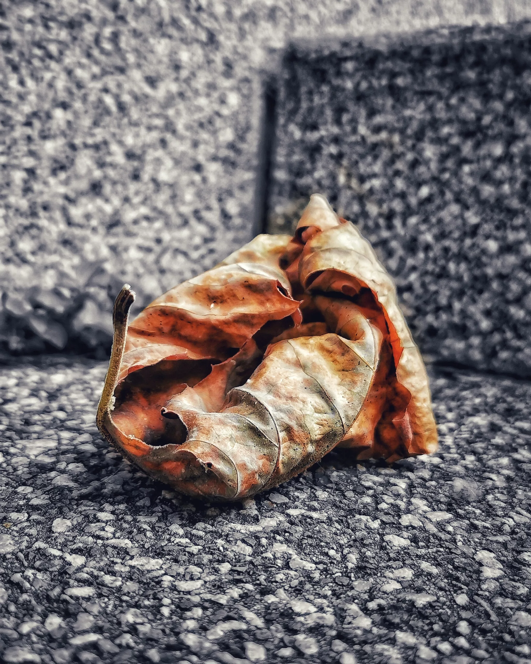 Los pequeños detalles 27 – Fotografía creativa móvil en Barakaldo | Ibarakaldo – Fotografía creativa móvil en Barakaldo | Ibarakaldo