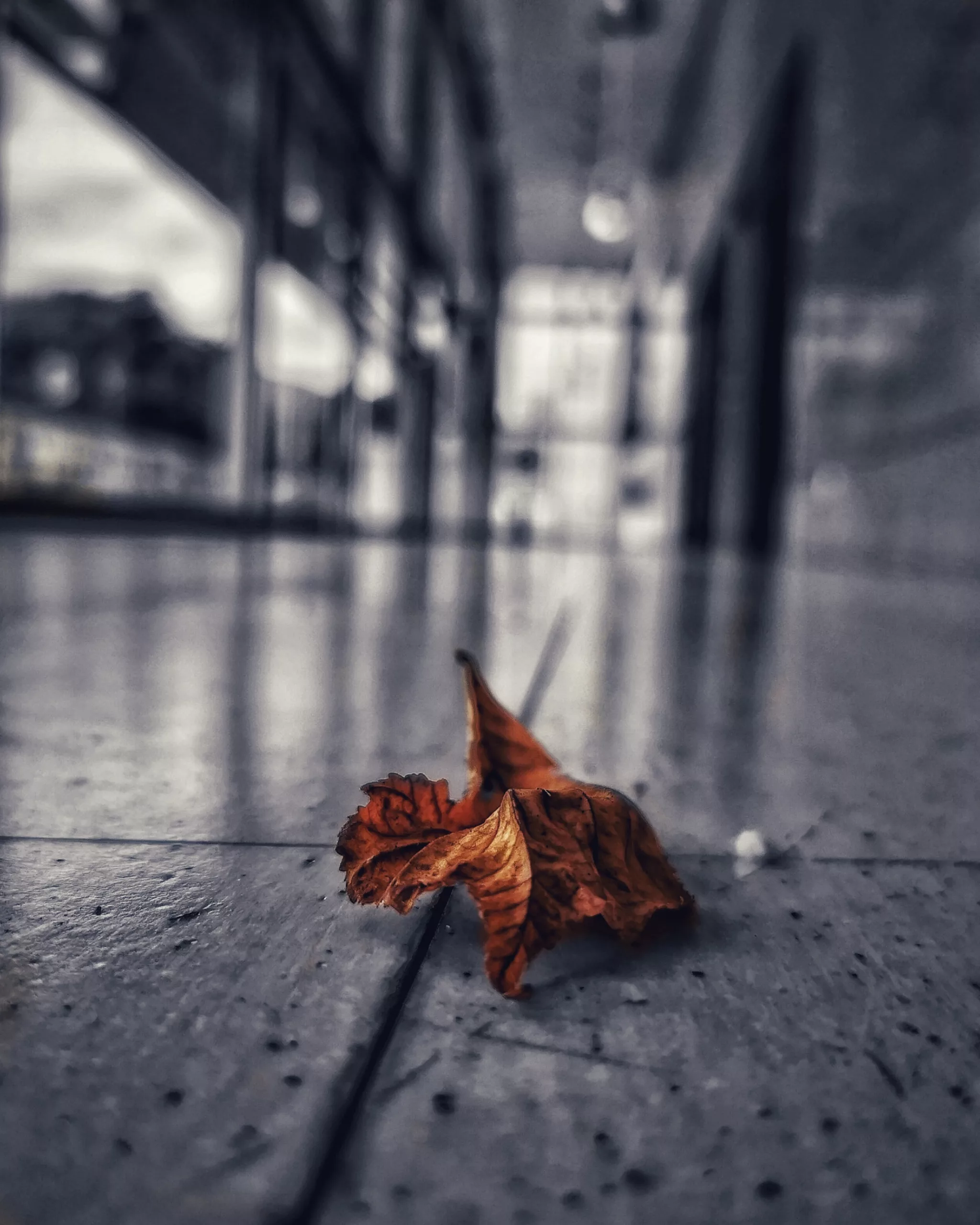 Los pequeños detalles 16 – Fotografía creativa móvil en Barakaldo | Ibarakaldo