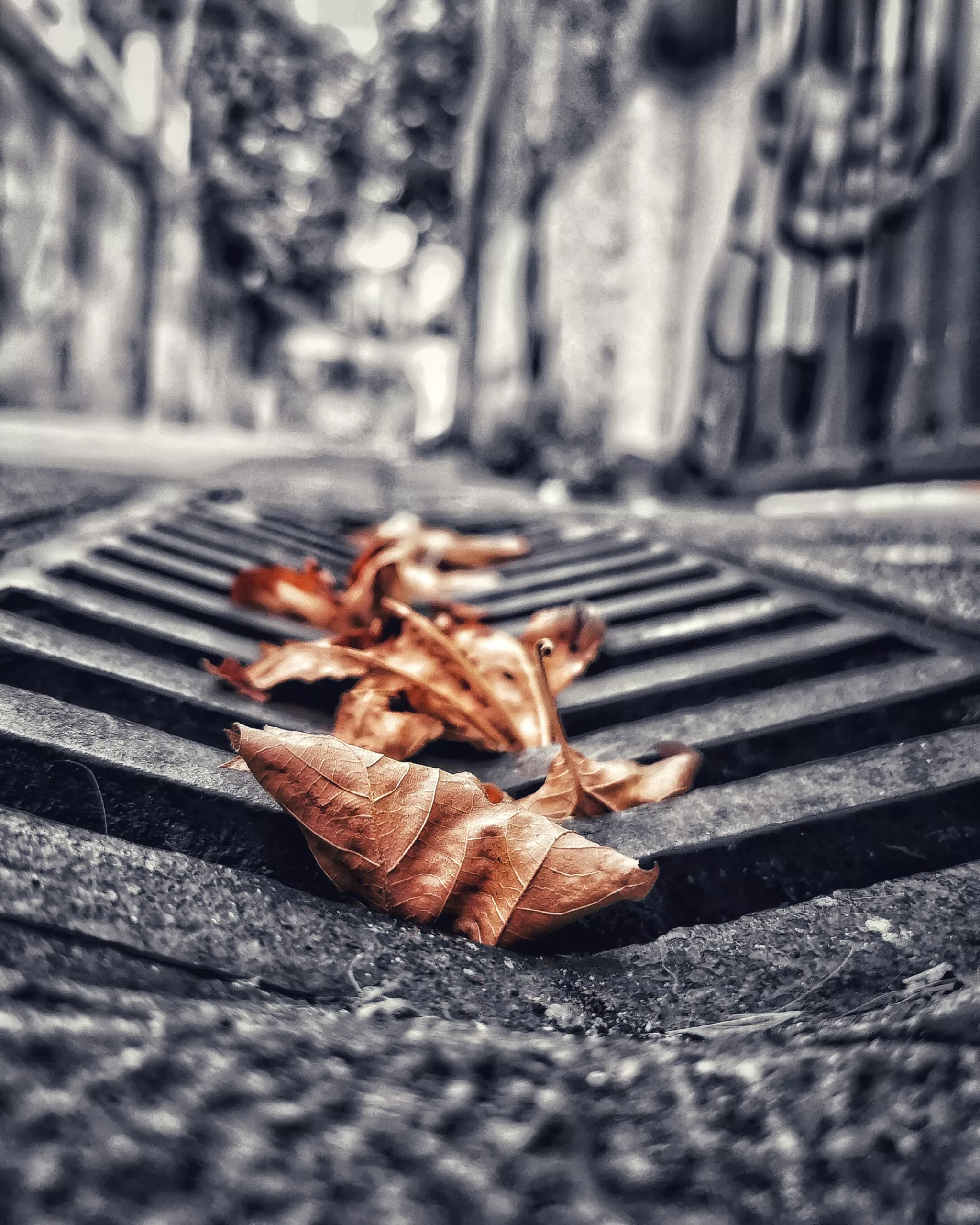 Pequeños detalles 14 – Fotografía creativa móvil en Barakaldo | Ibarakaldo