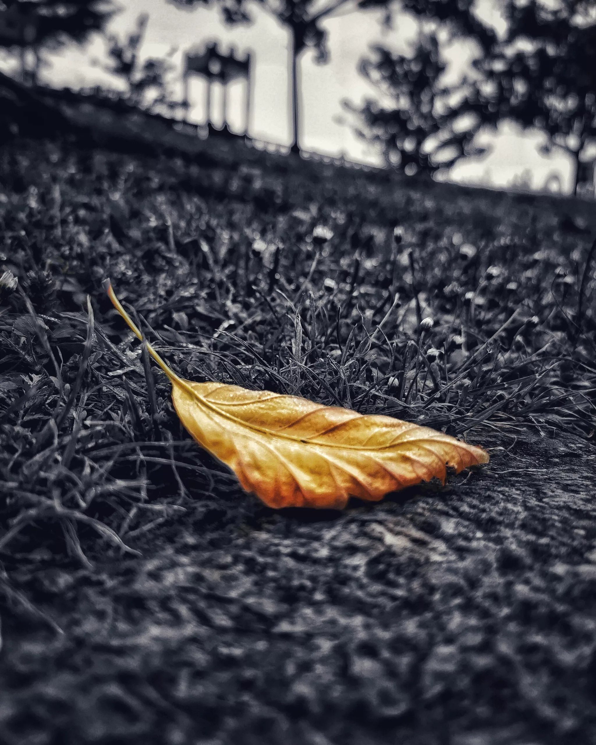 Pequeños detalles 13 – Fotografía creativa móvil en Barakaldo | Ibarakaldo