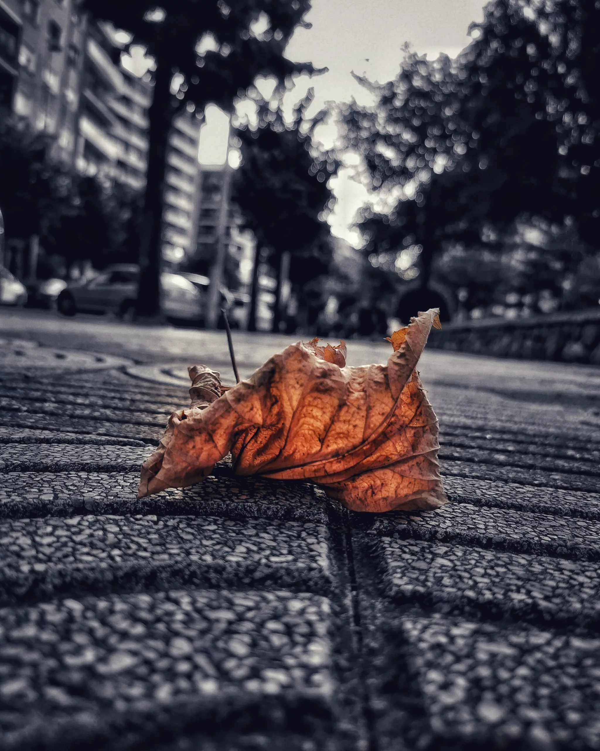 Los pequeños detalles 15 – Fotografía creativa móvil en Barakaldo | Ibarakaldo