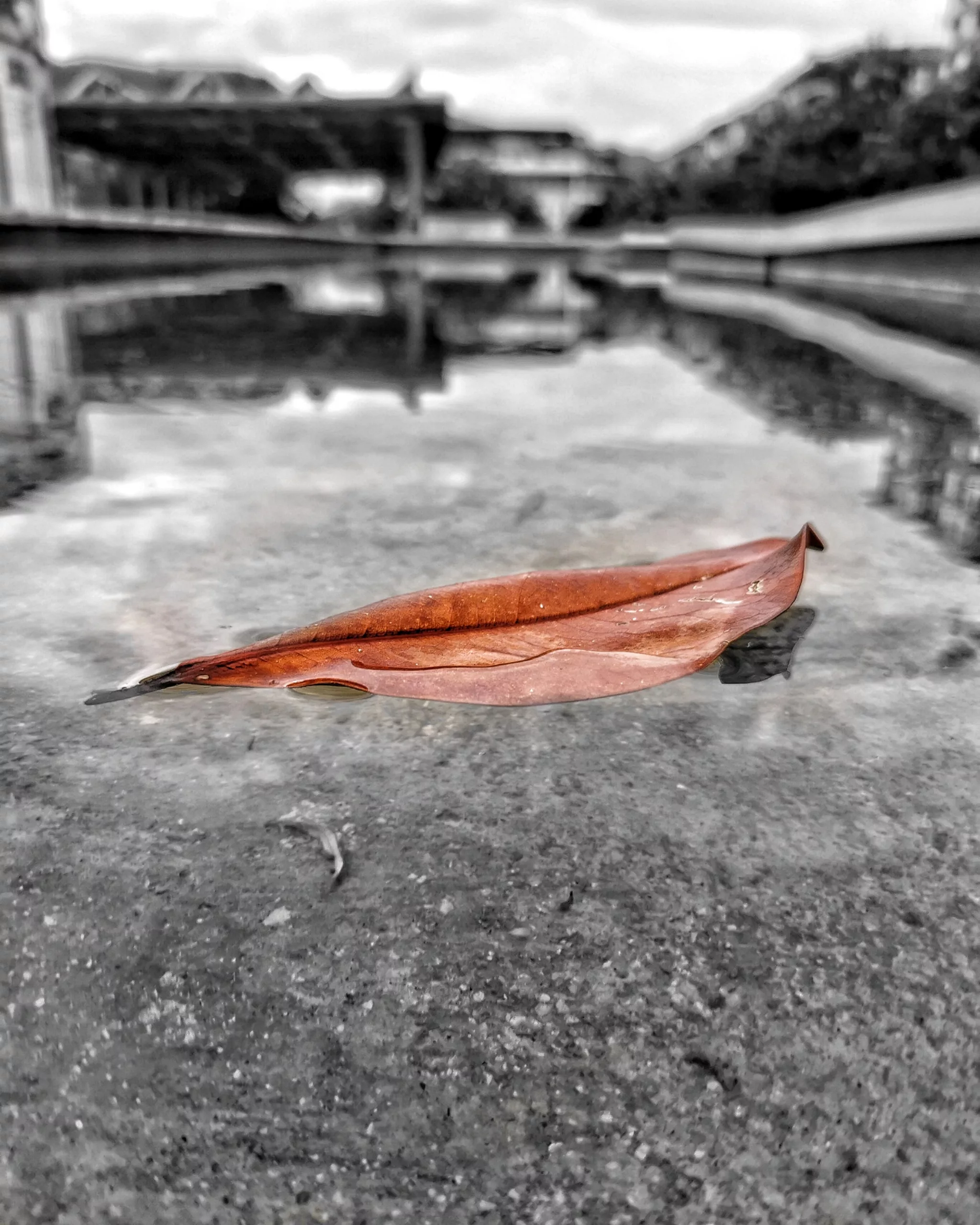 Los pequeños detalles 24 – Fotografía creativa móvil en Barakaldo | Ibarakaldo