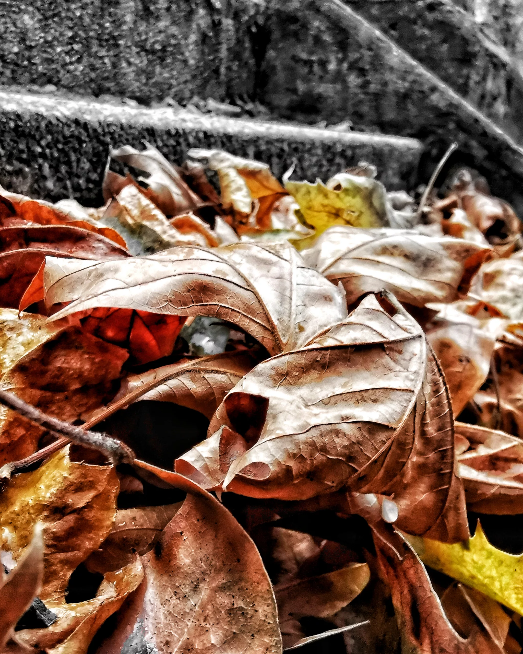 Los pequeños detalles 18 – Fotografía creativa móvil en Barakaldo | Ibarakaldo